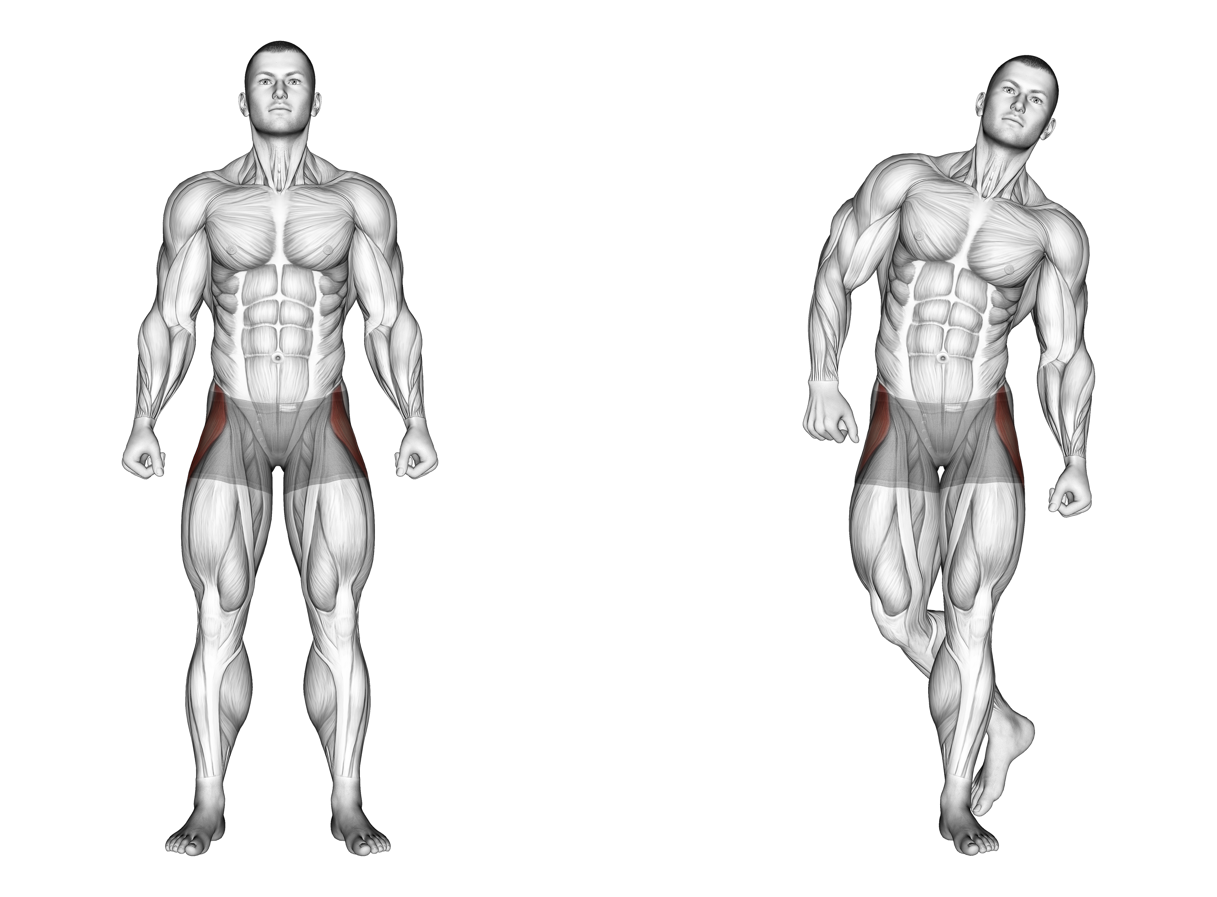 Straight Leg Outer Hip Abductor
