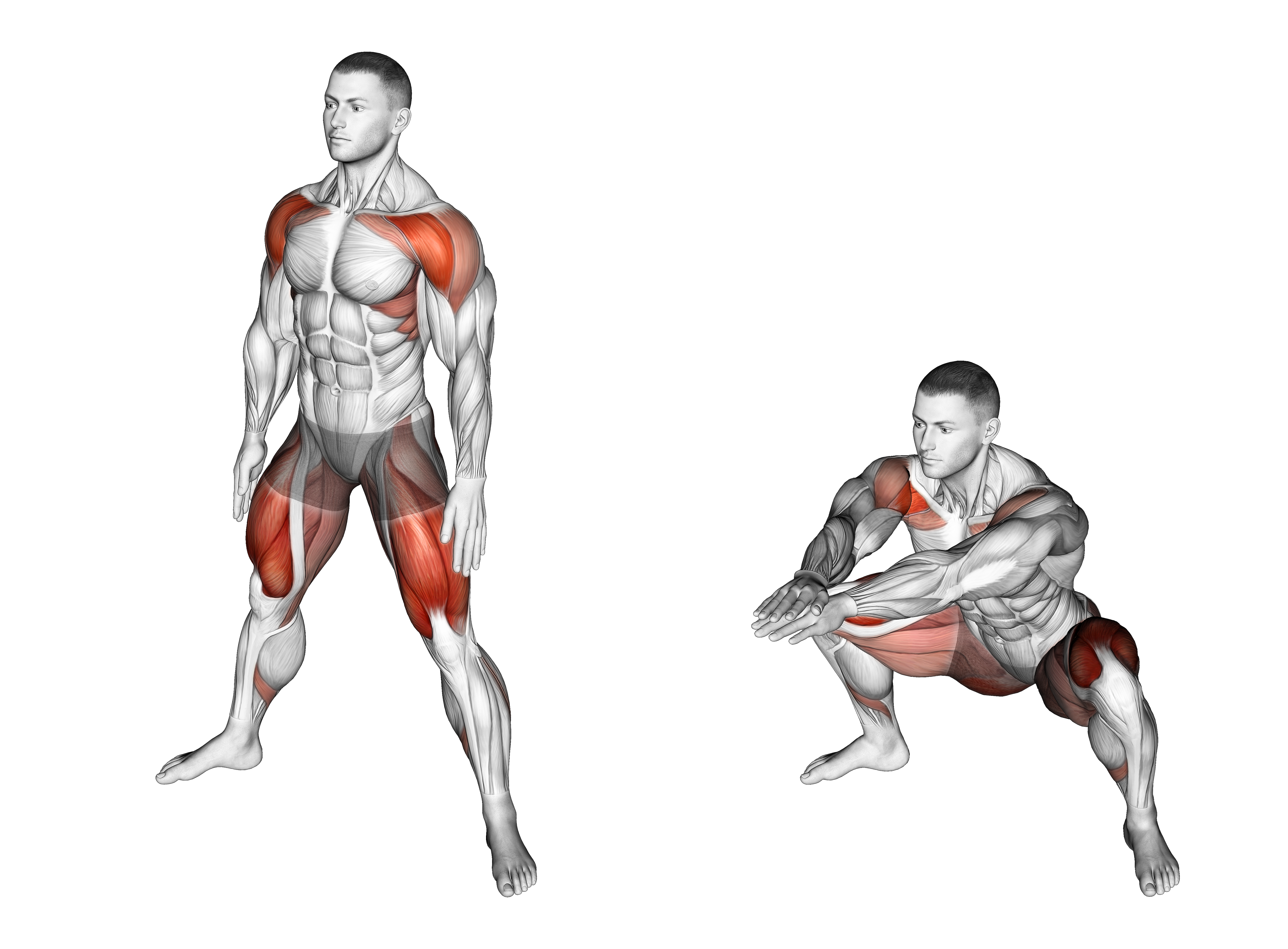 Sumo Air Squat