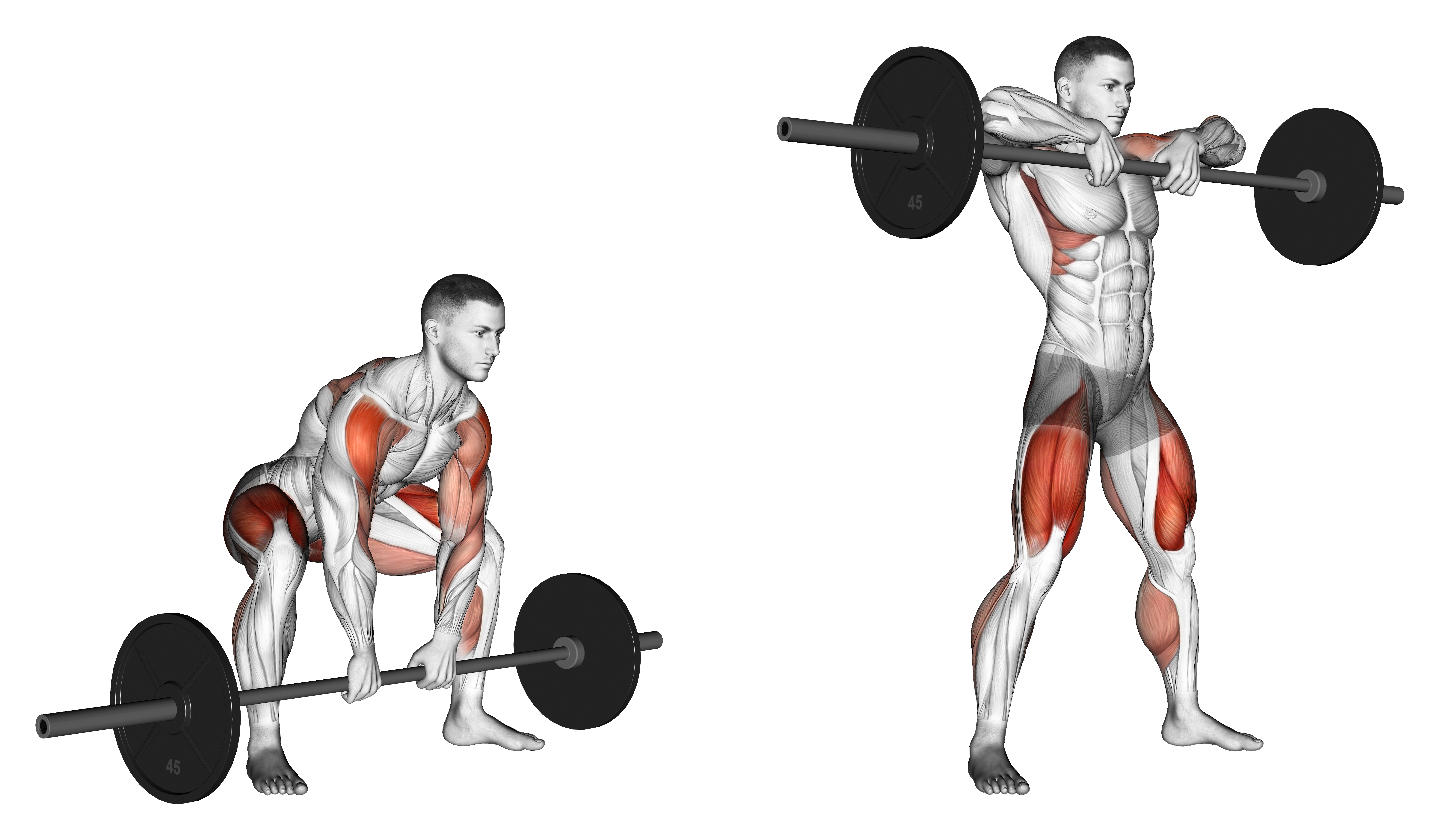 Sumo Deadlift High Pull