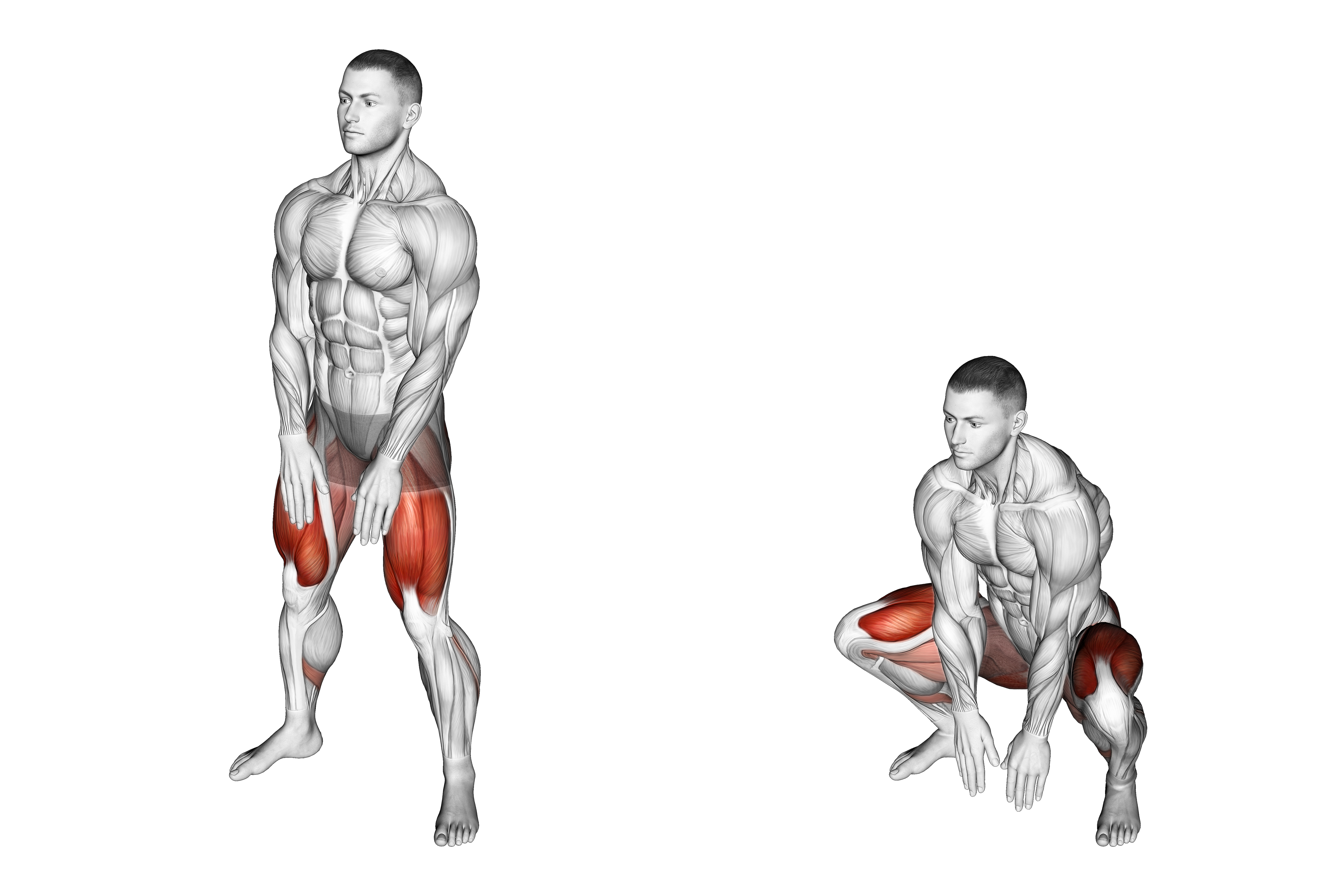 Sumo Squat Floor Touch