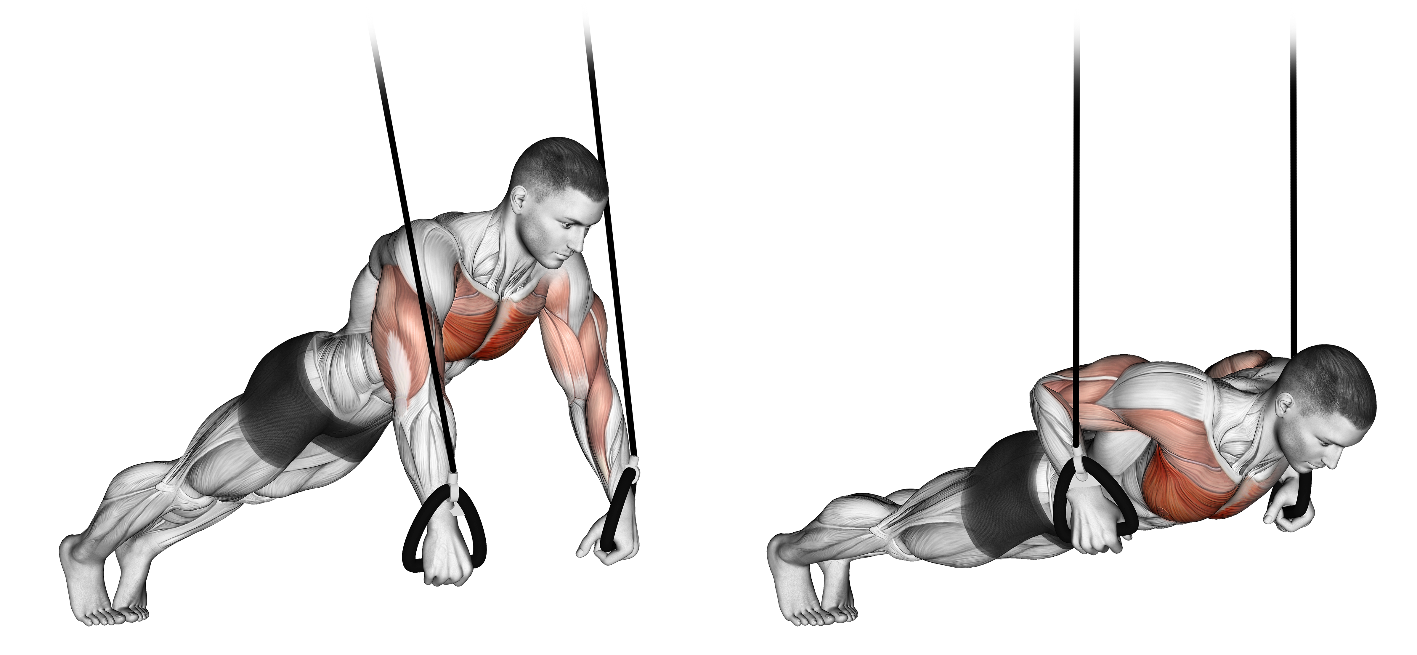 Suspended Push Up