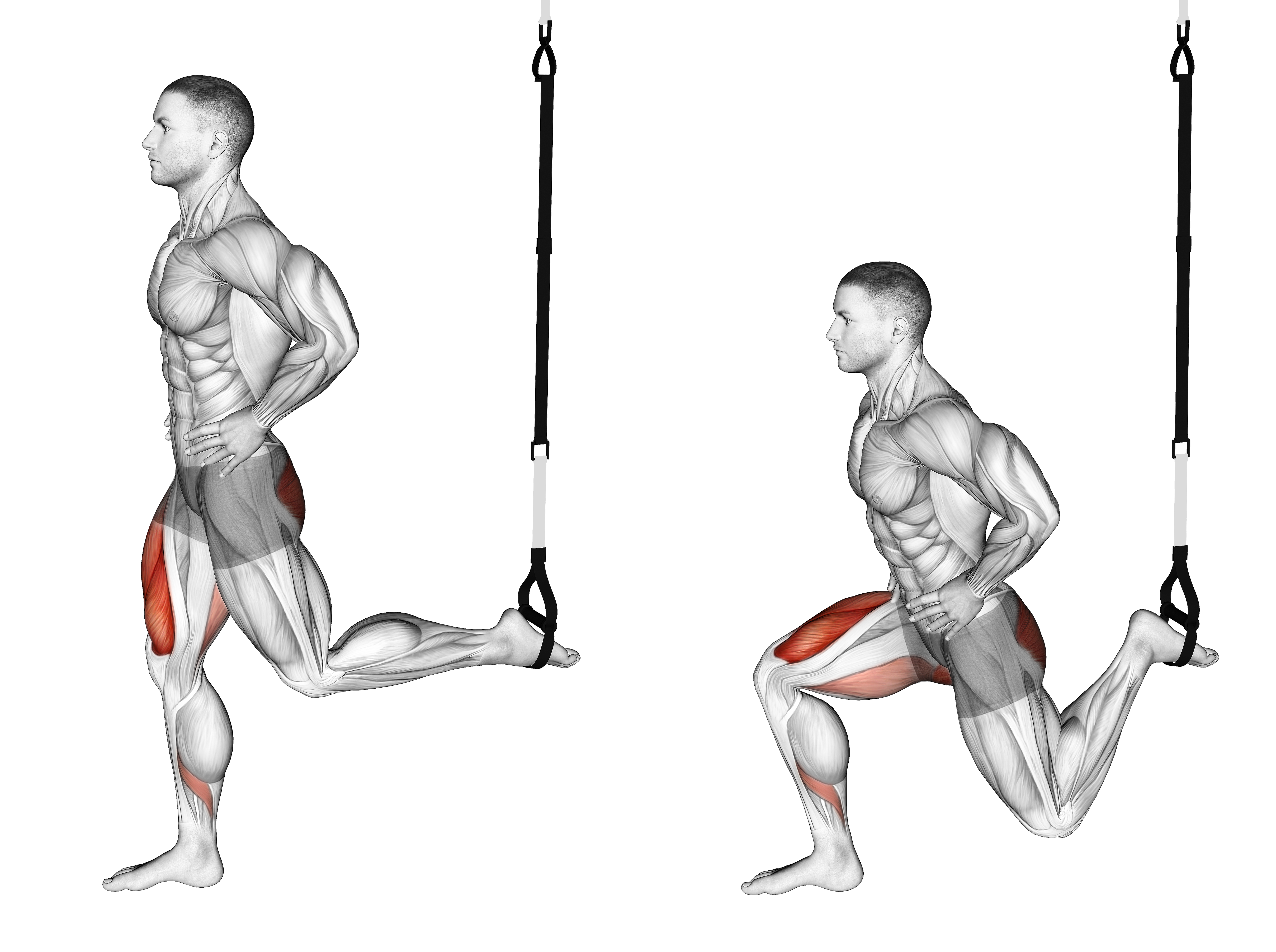 Suspended Split Squat
