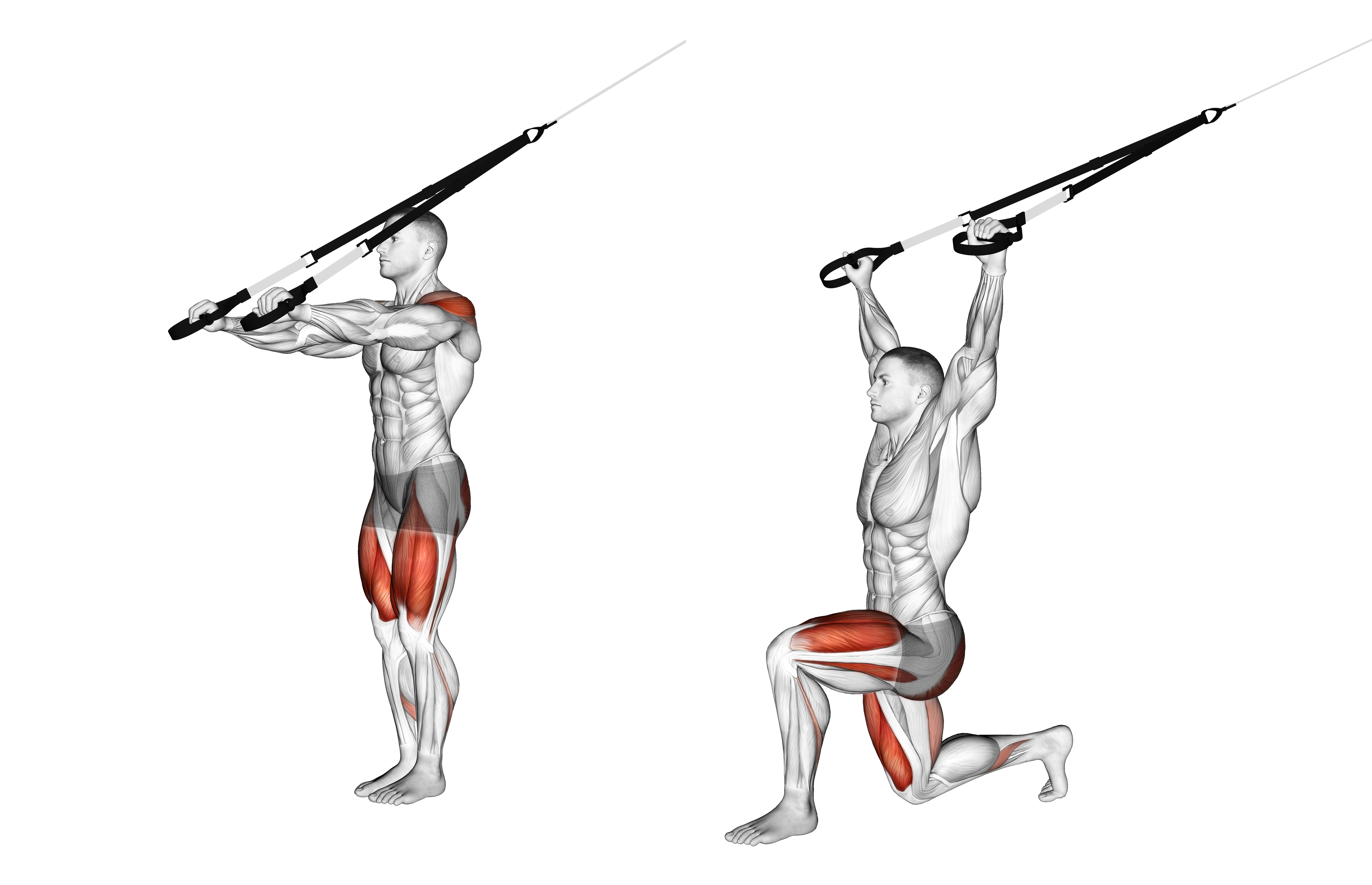 Suspender Forward Lunge With Rear Fly