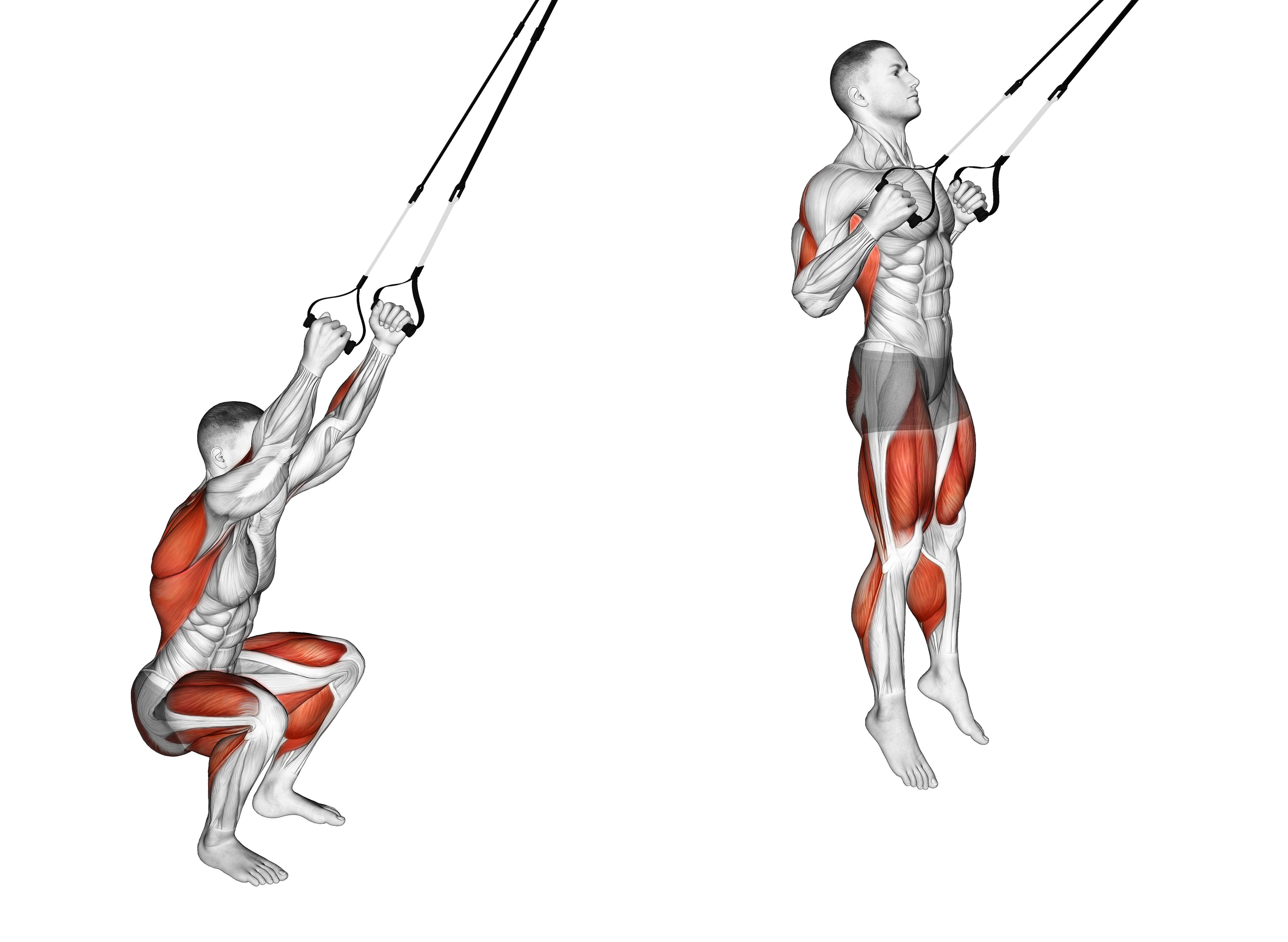 Suspender Squat Jump