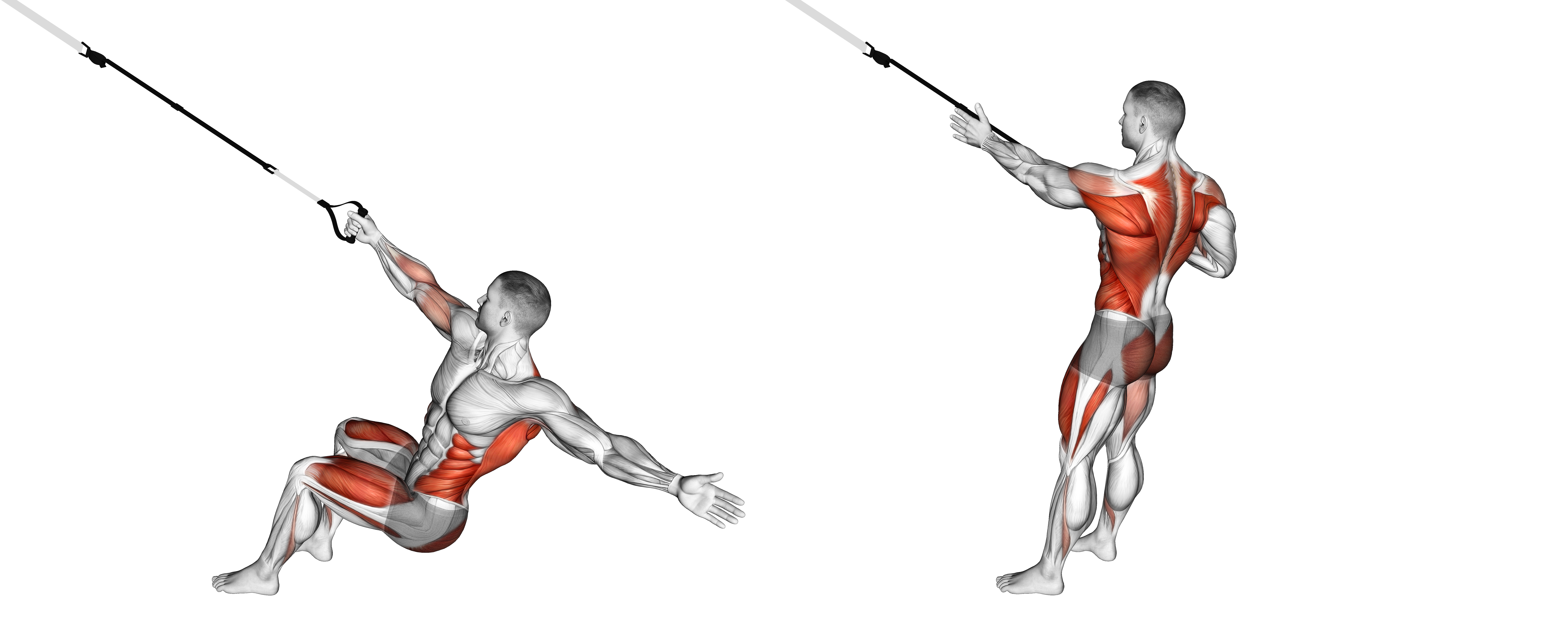 Suspender Squat Power Pull
