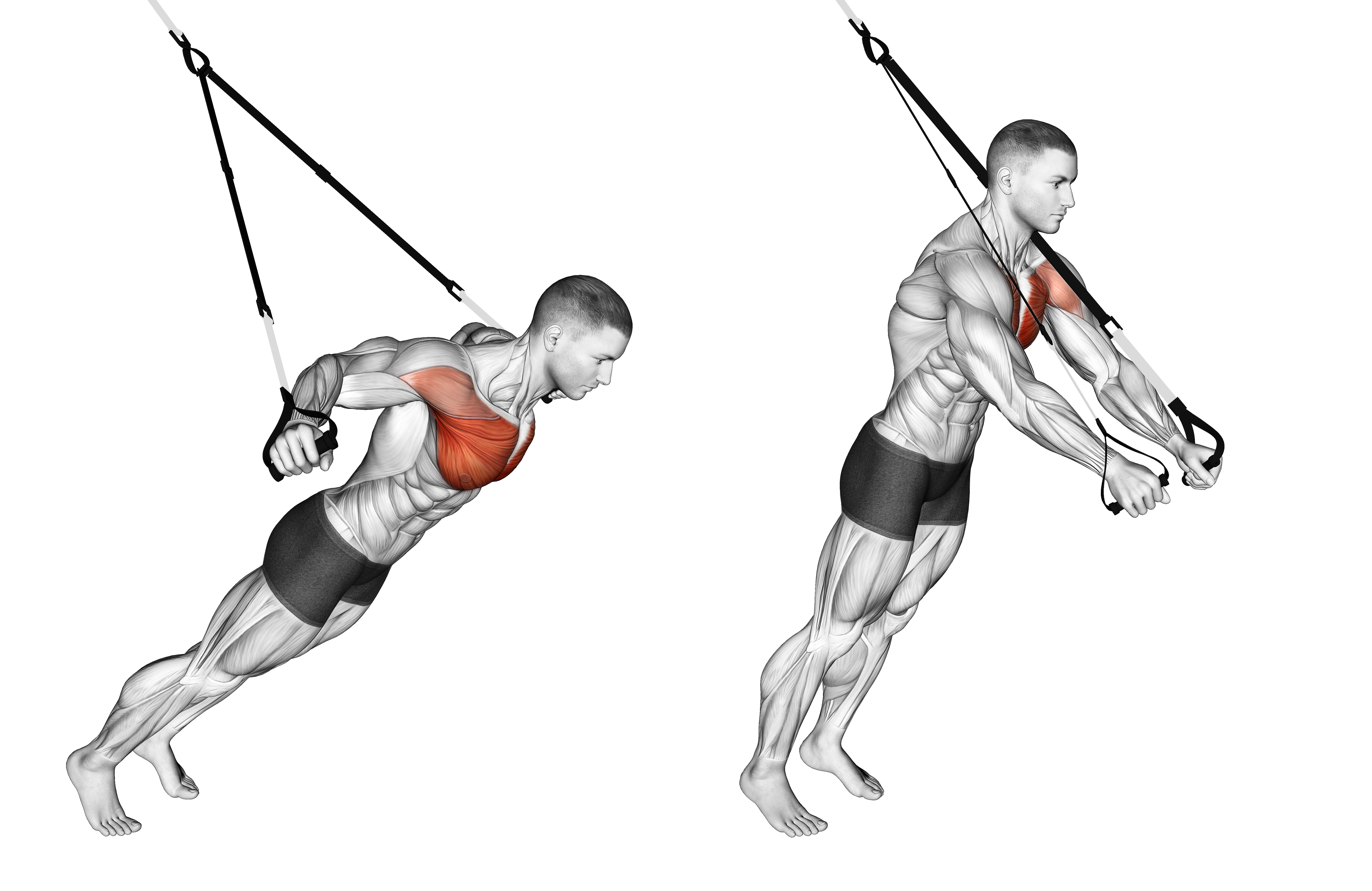 Suspension Fly