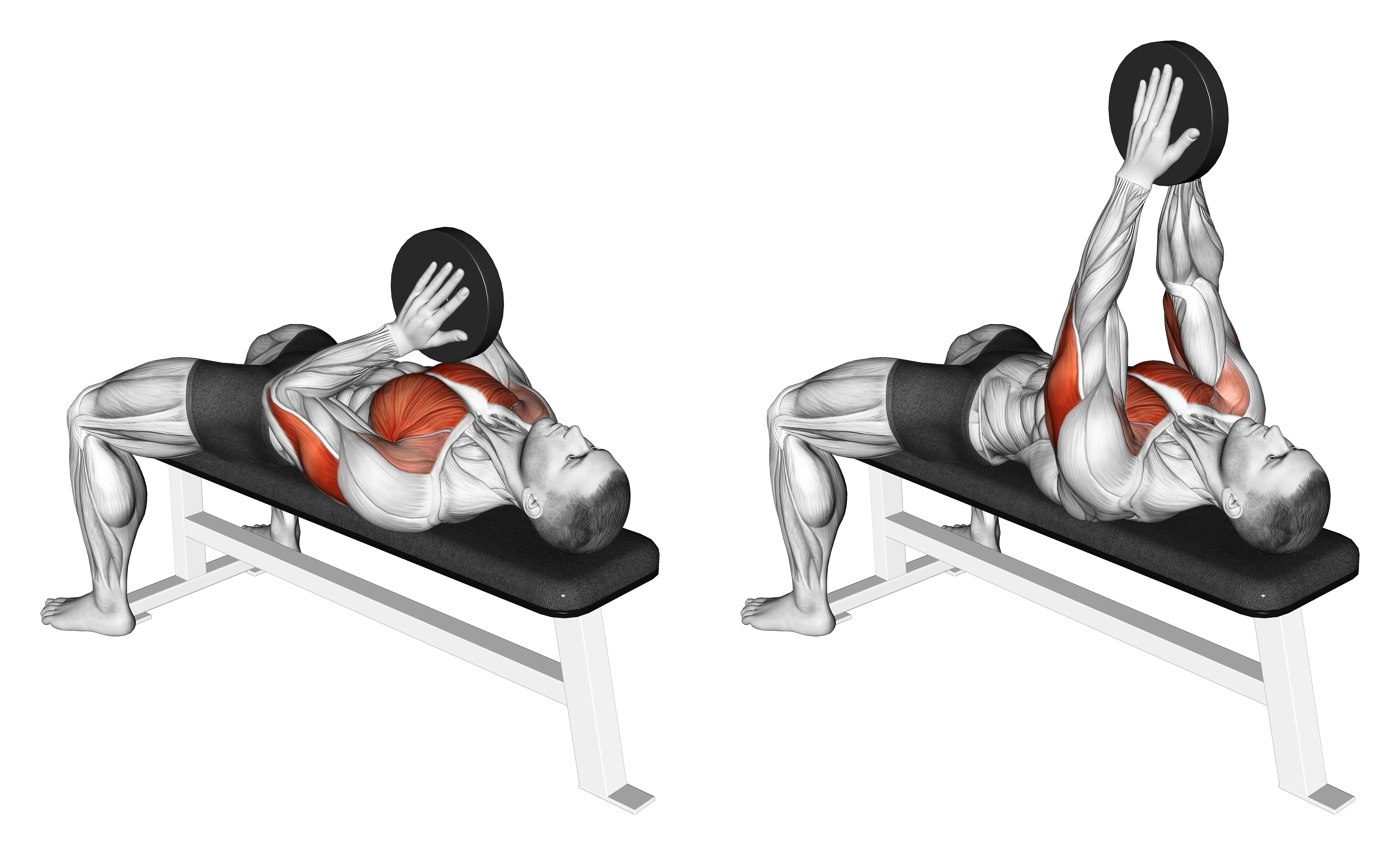 Svend Bench Press