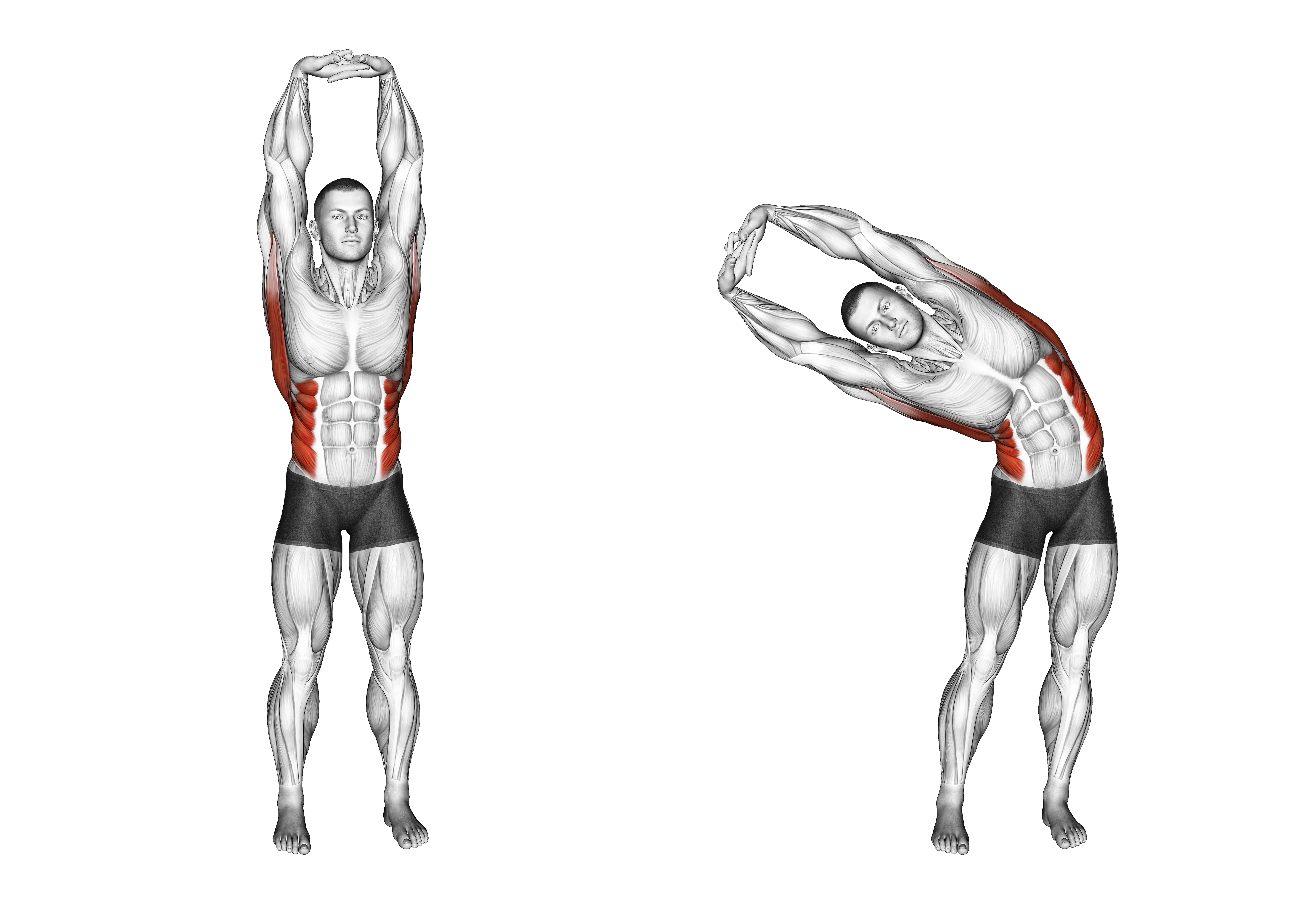 Swaying Palm Tree Yoga Pose