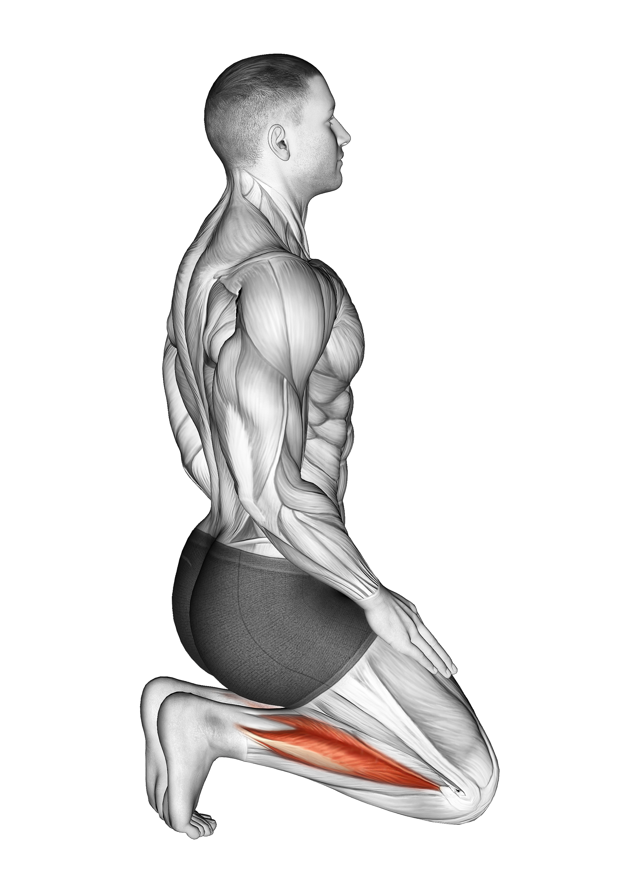 Toe Squat Stretch