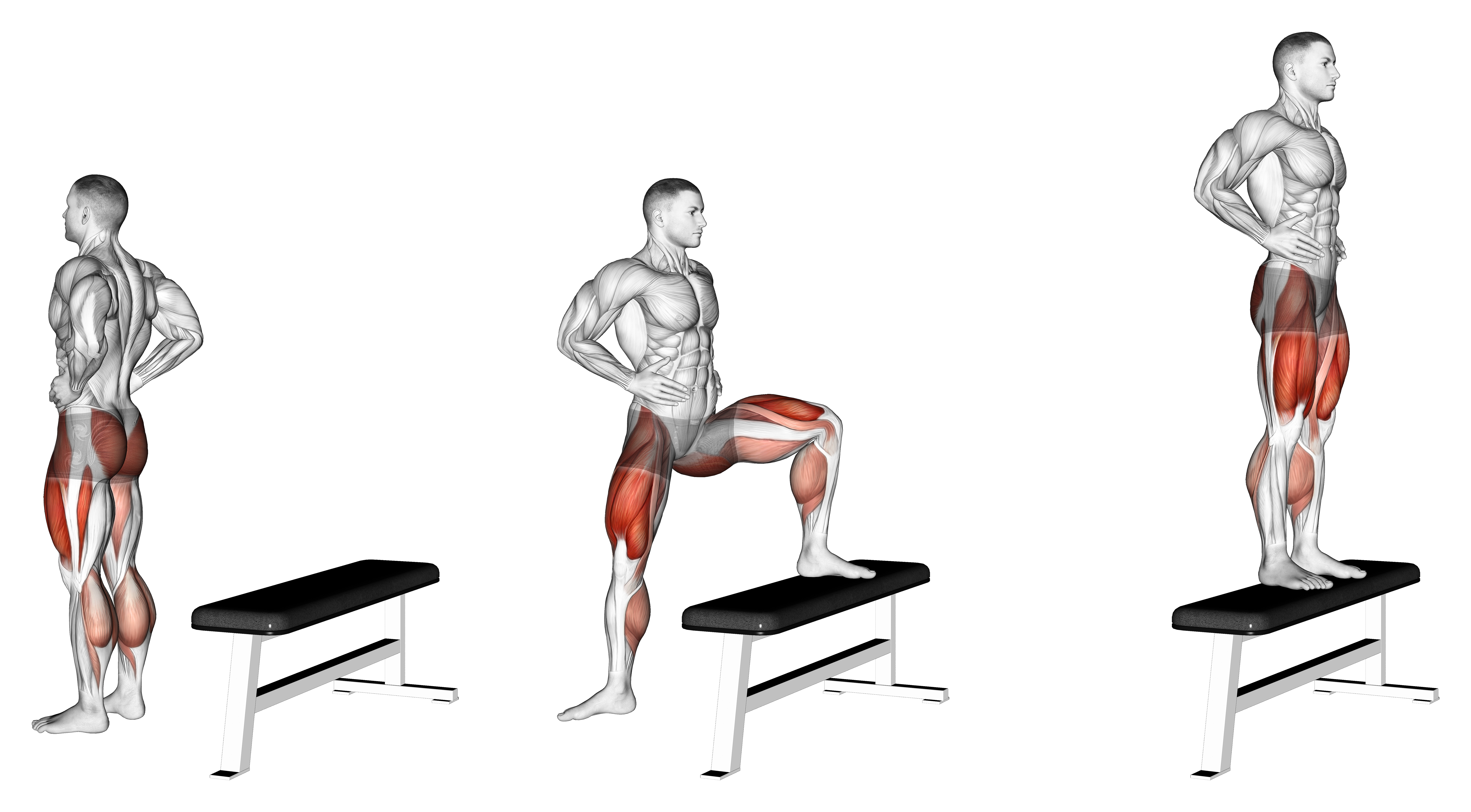 Transverse Step Up