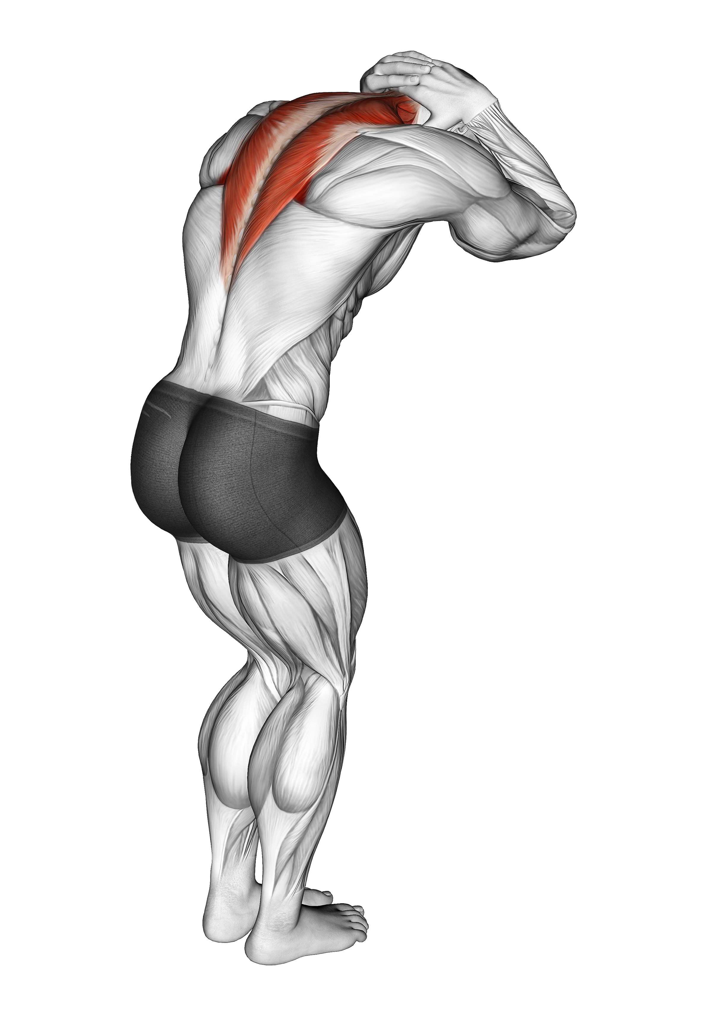 Trap And Neck Stretch