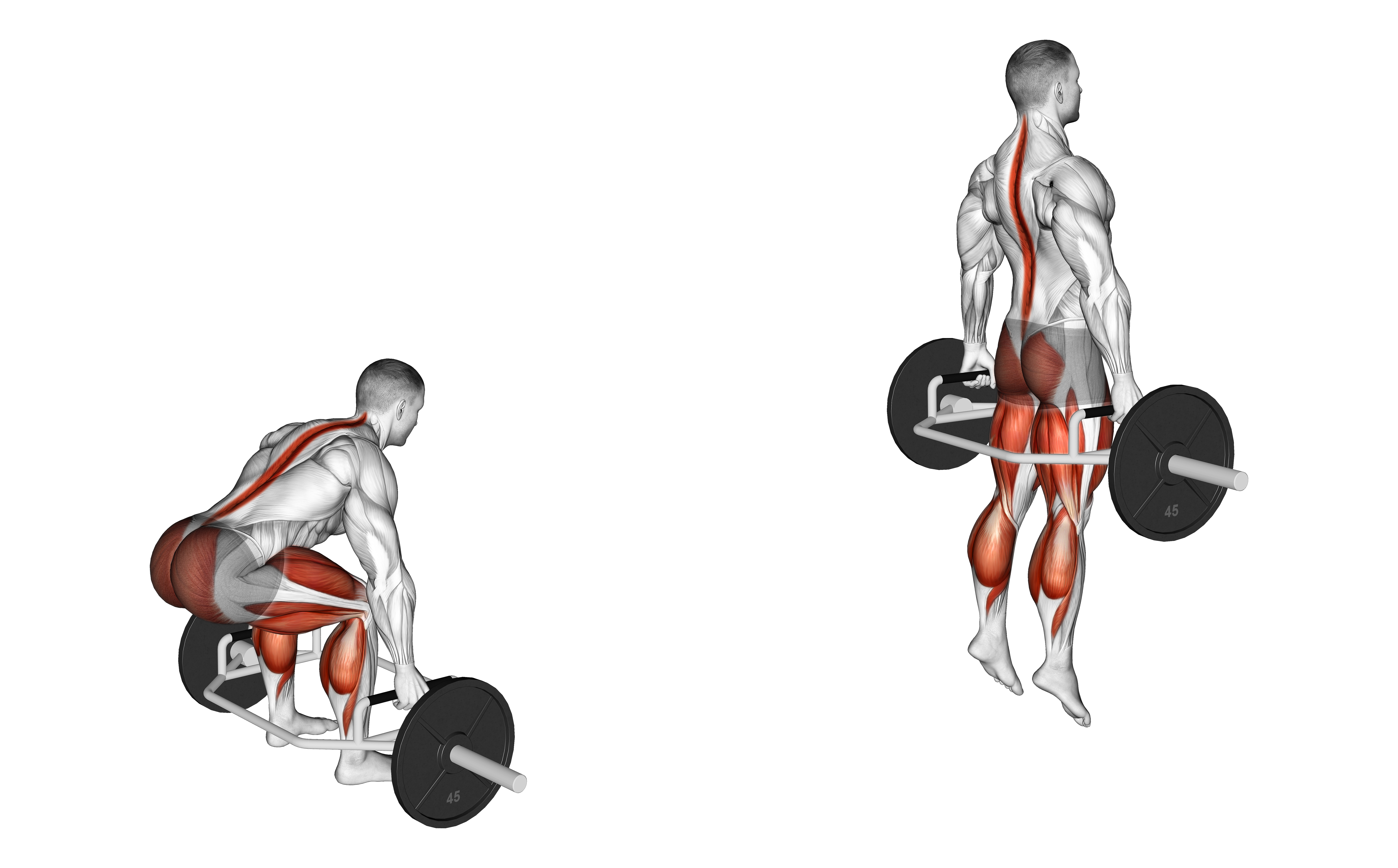 Trap Bar Jump Squat