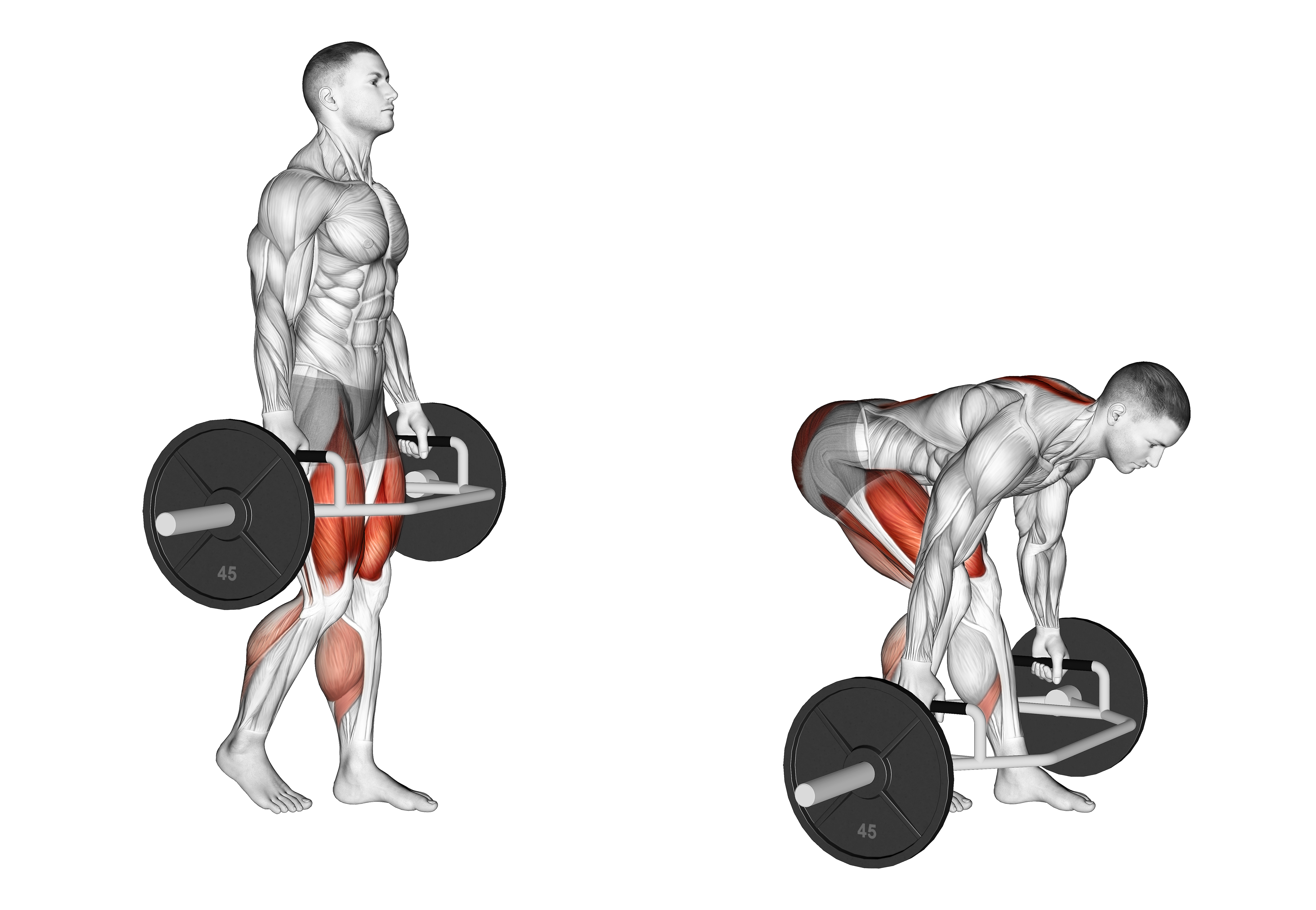 Trap Bar Split Stance Rdl