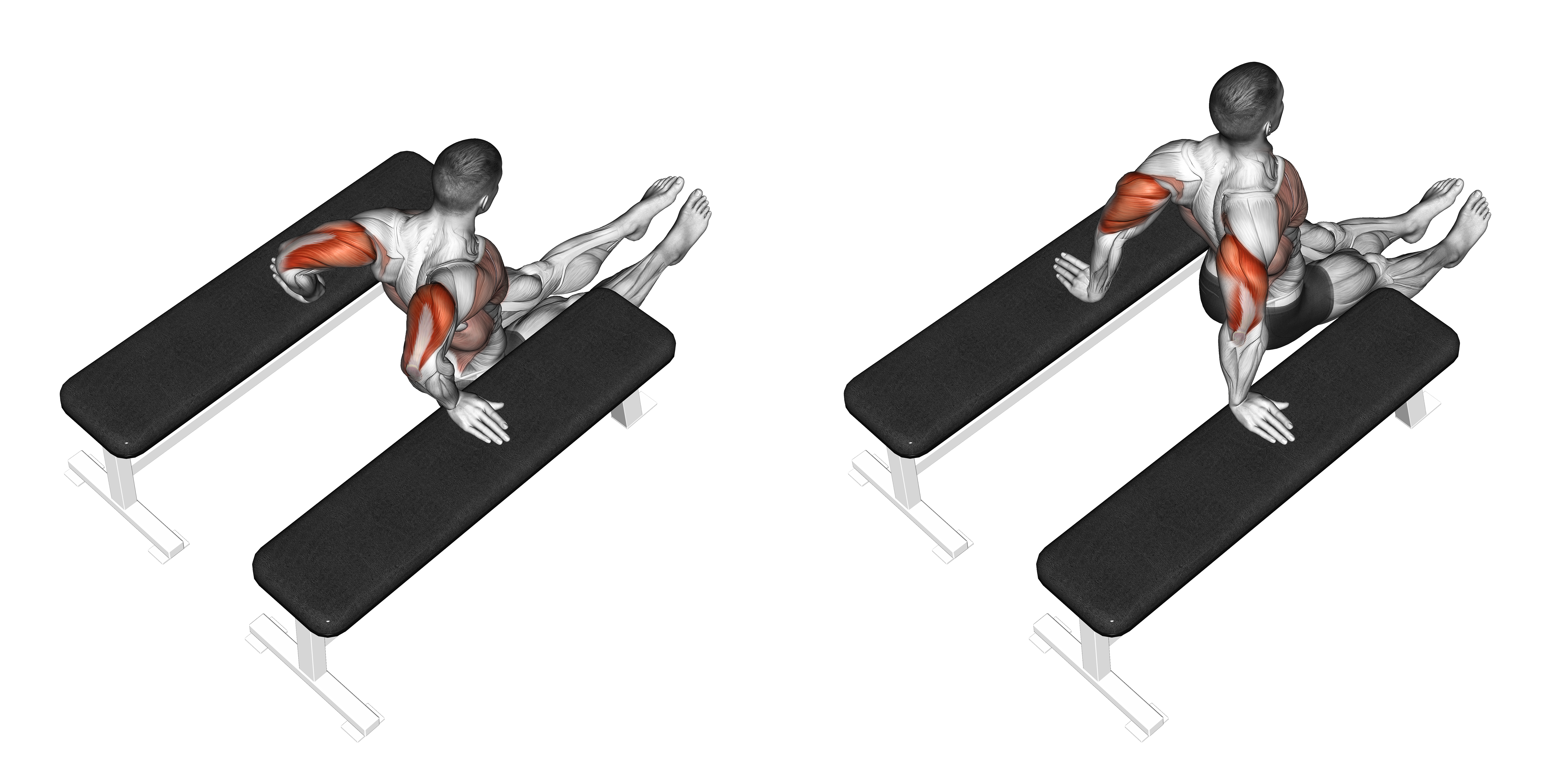Triceps Dip (between Benches)