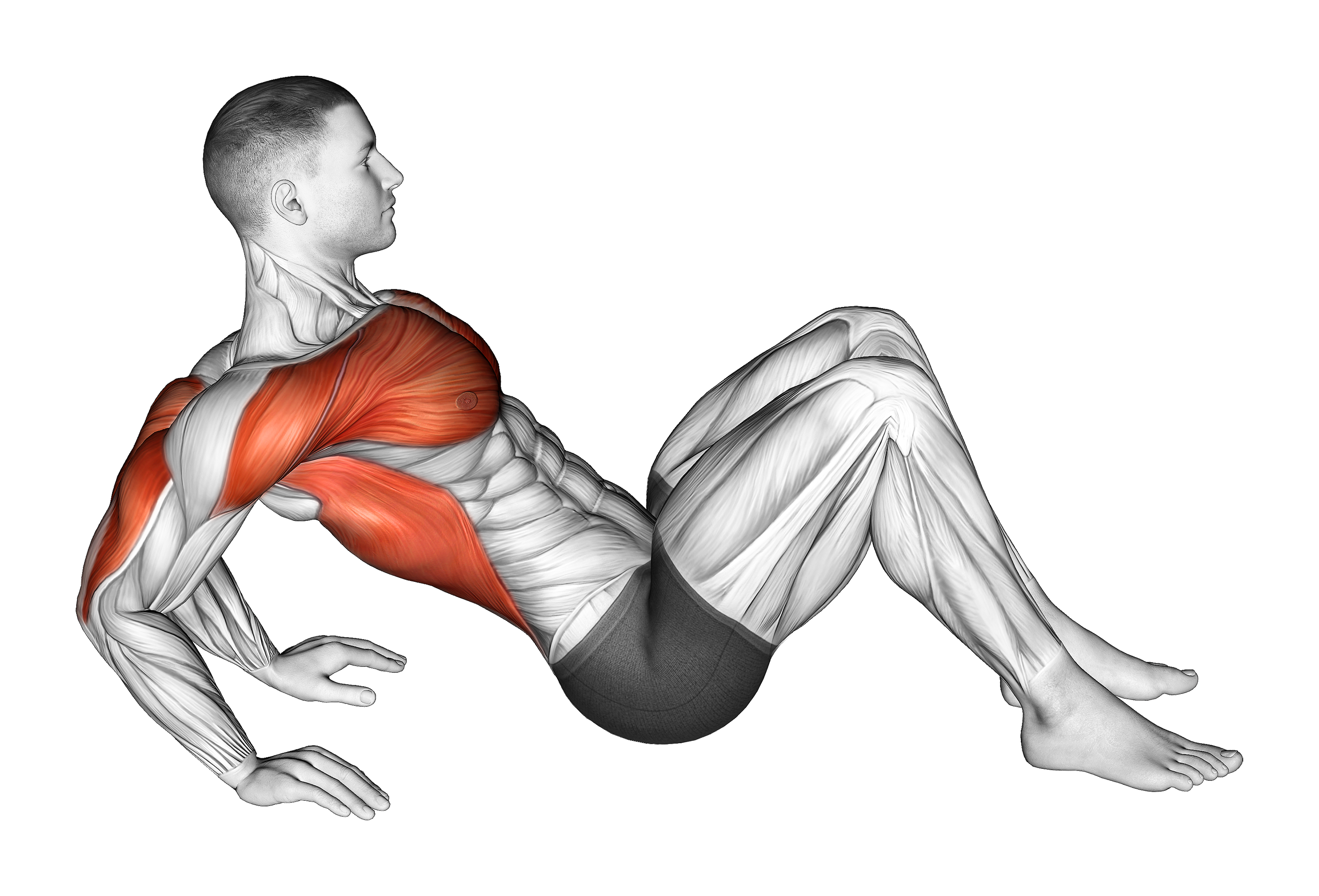 Triceps Dip Stretch