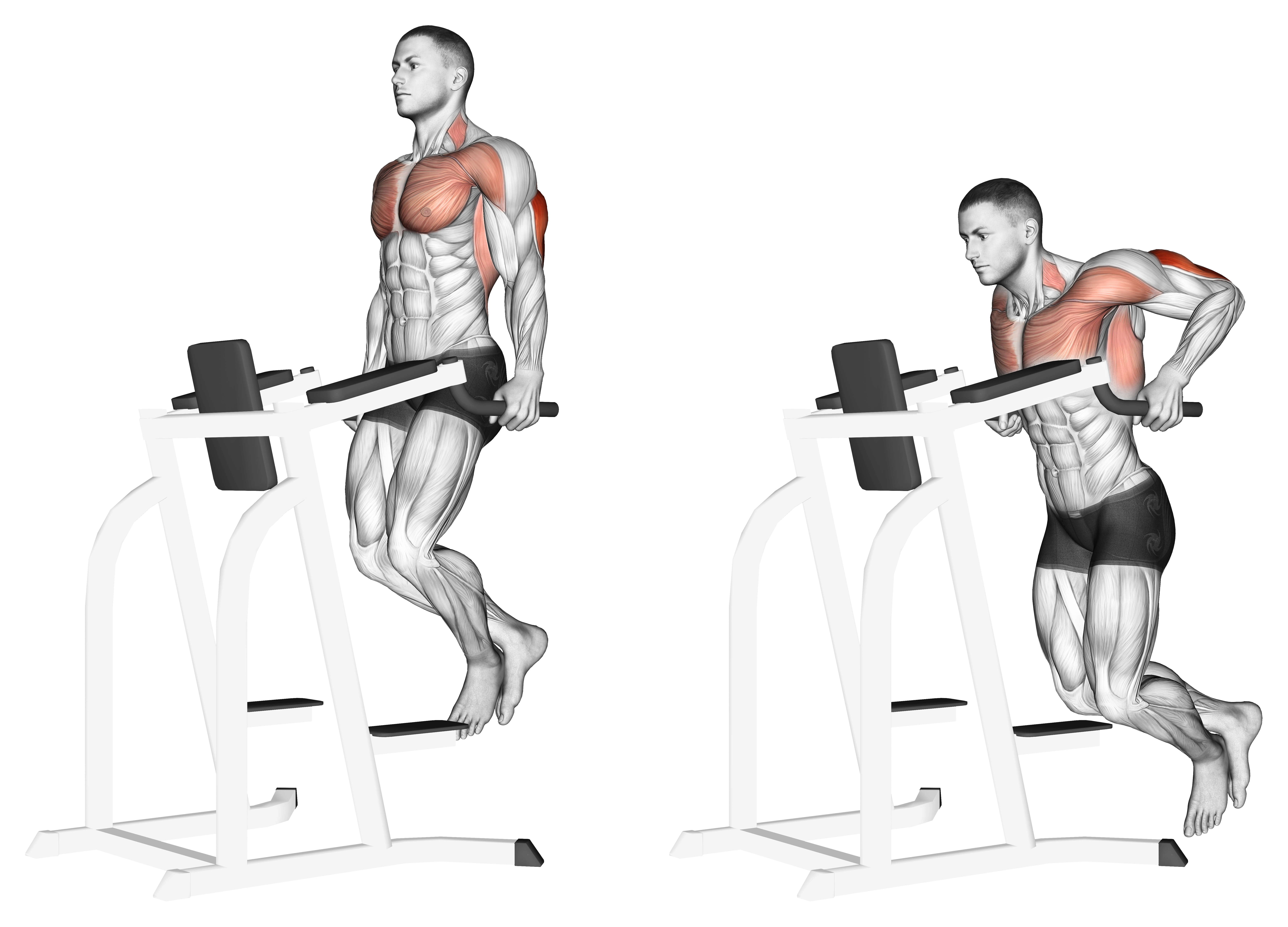 Triceps Dip