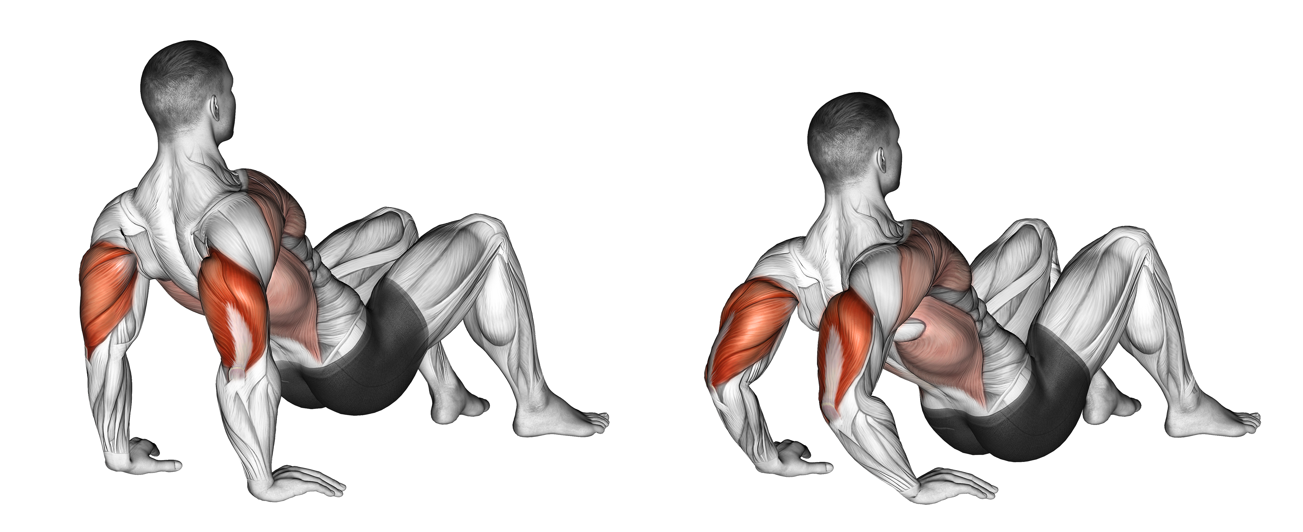 Triceps Dips Floor