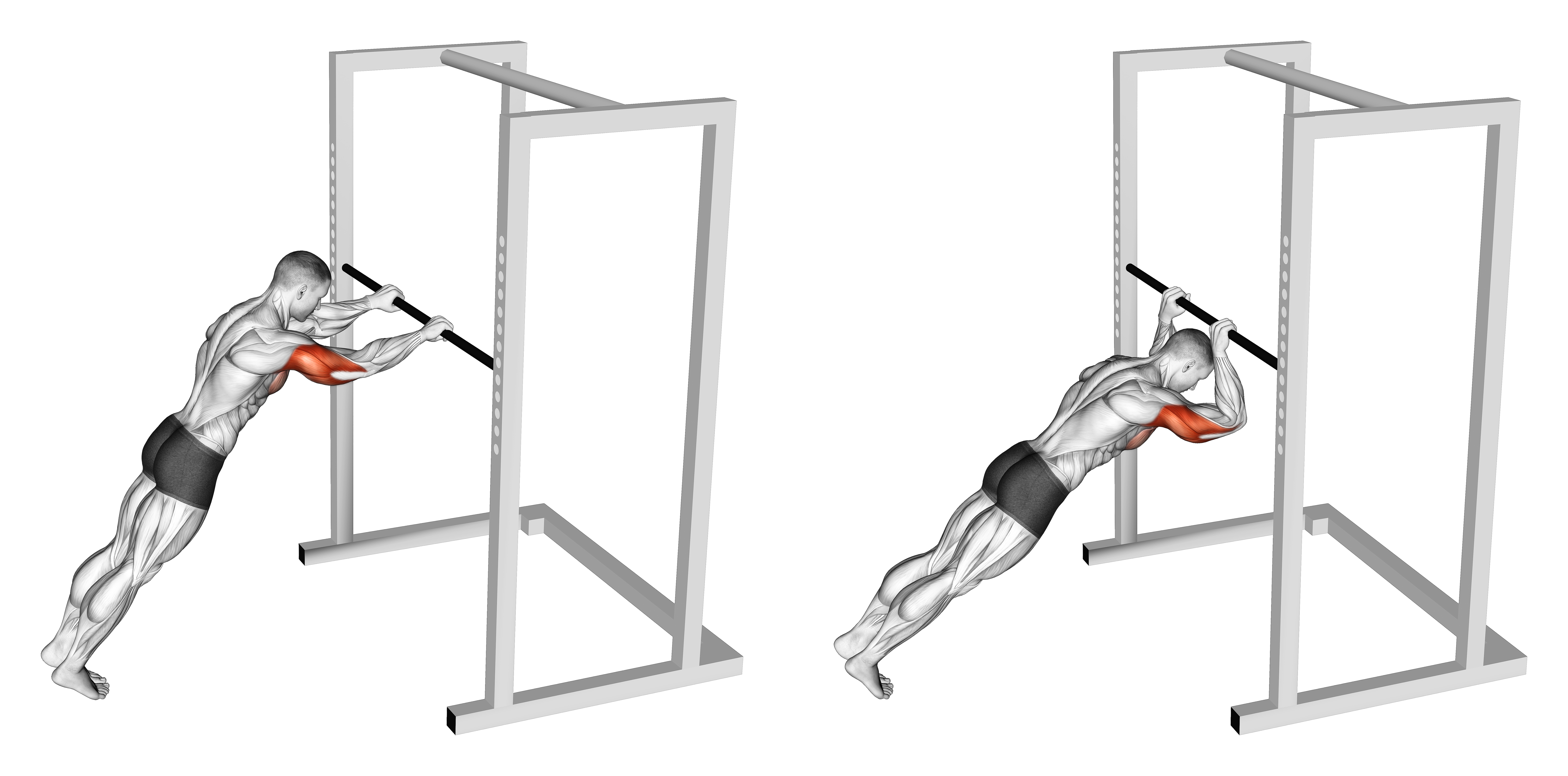 Triceps Press (high Bar Position)