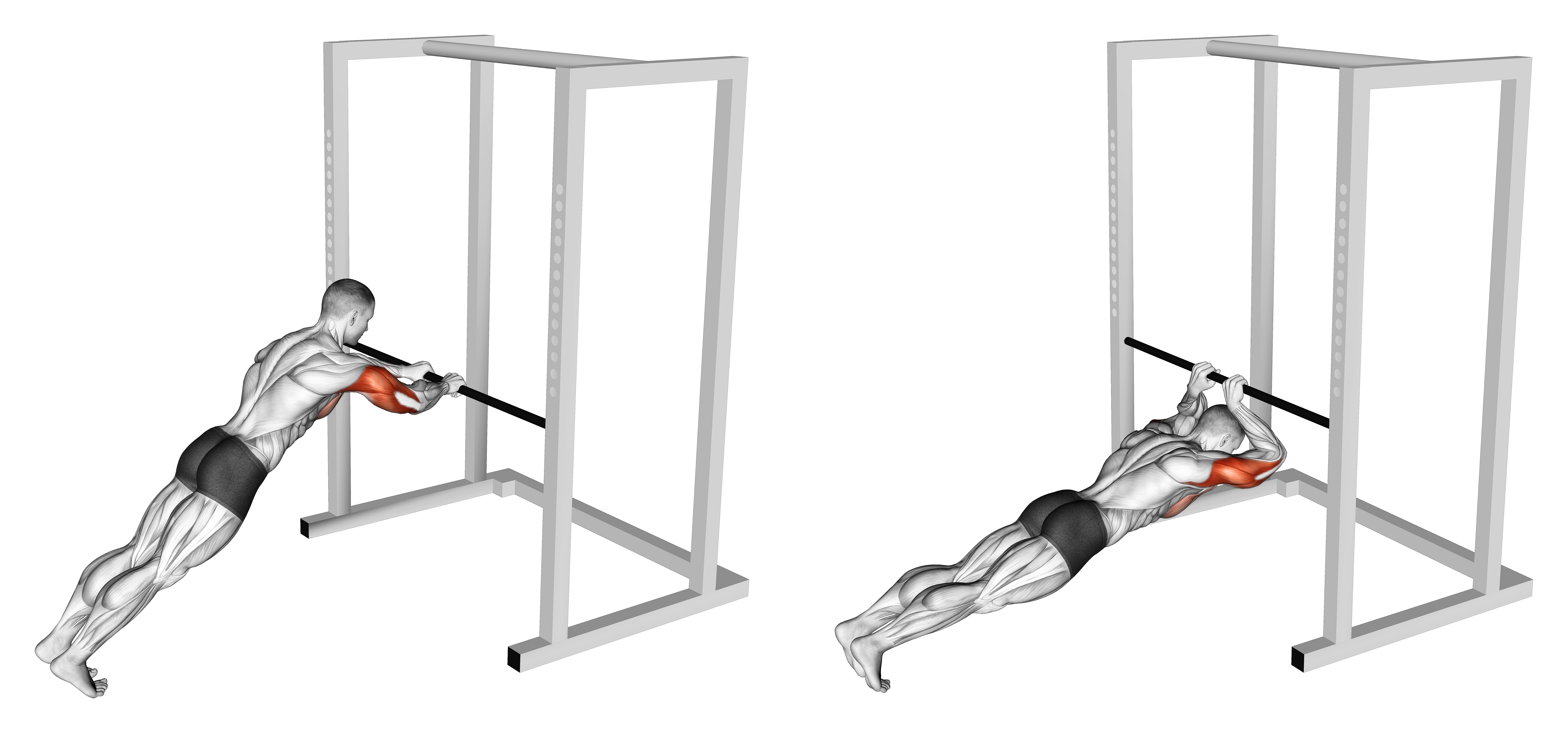 Triceps Press