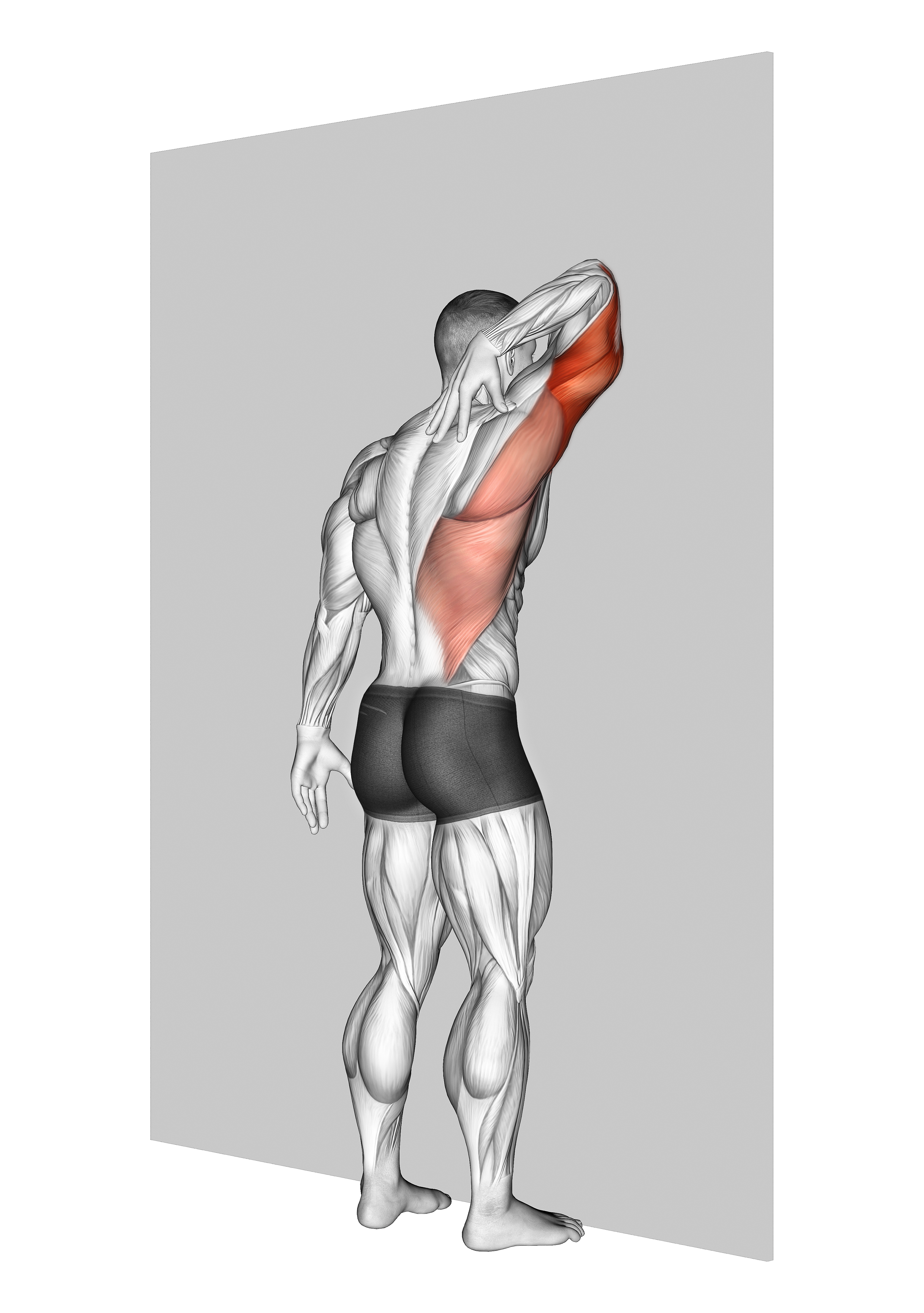 Triceps Stretch Against Wall