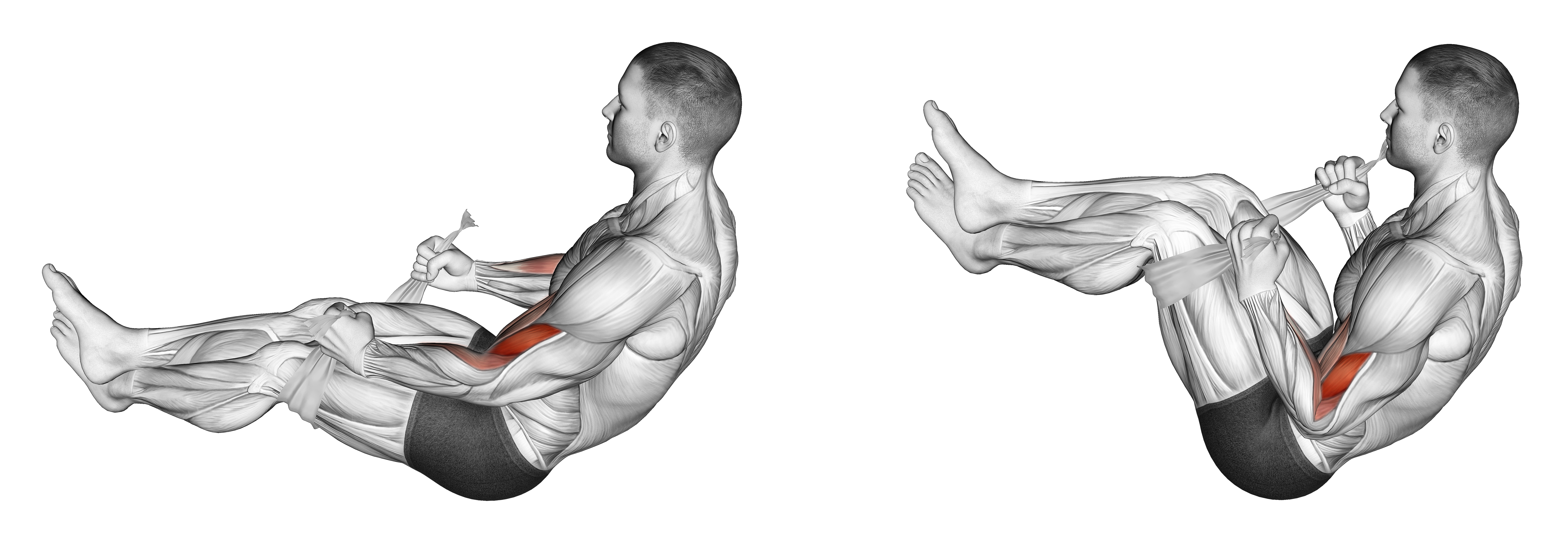 Two Legs Hammer Curl With Towel (version 2)