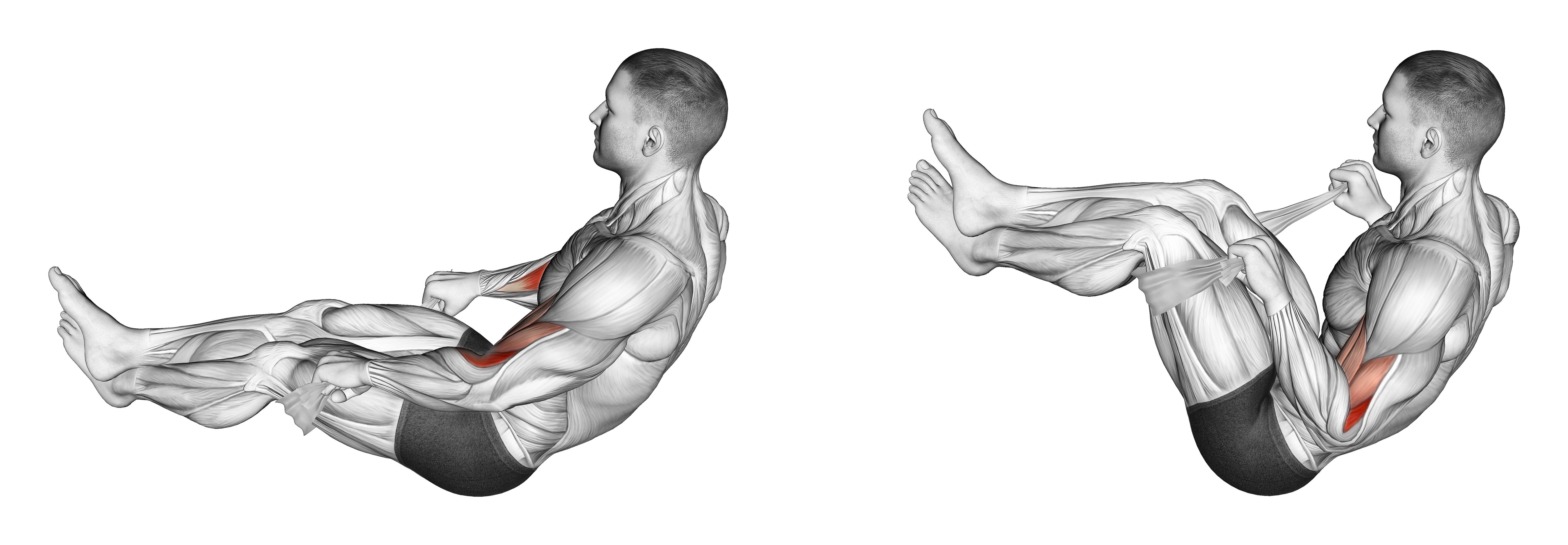 Two Legs Reverse Biceps Curl With Towel (version 2)