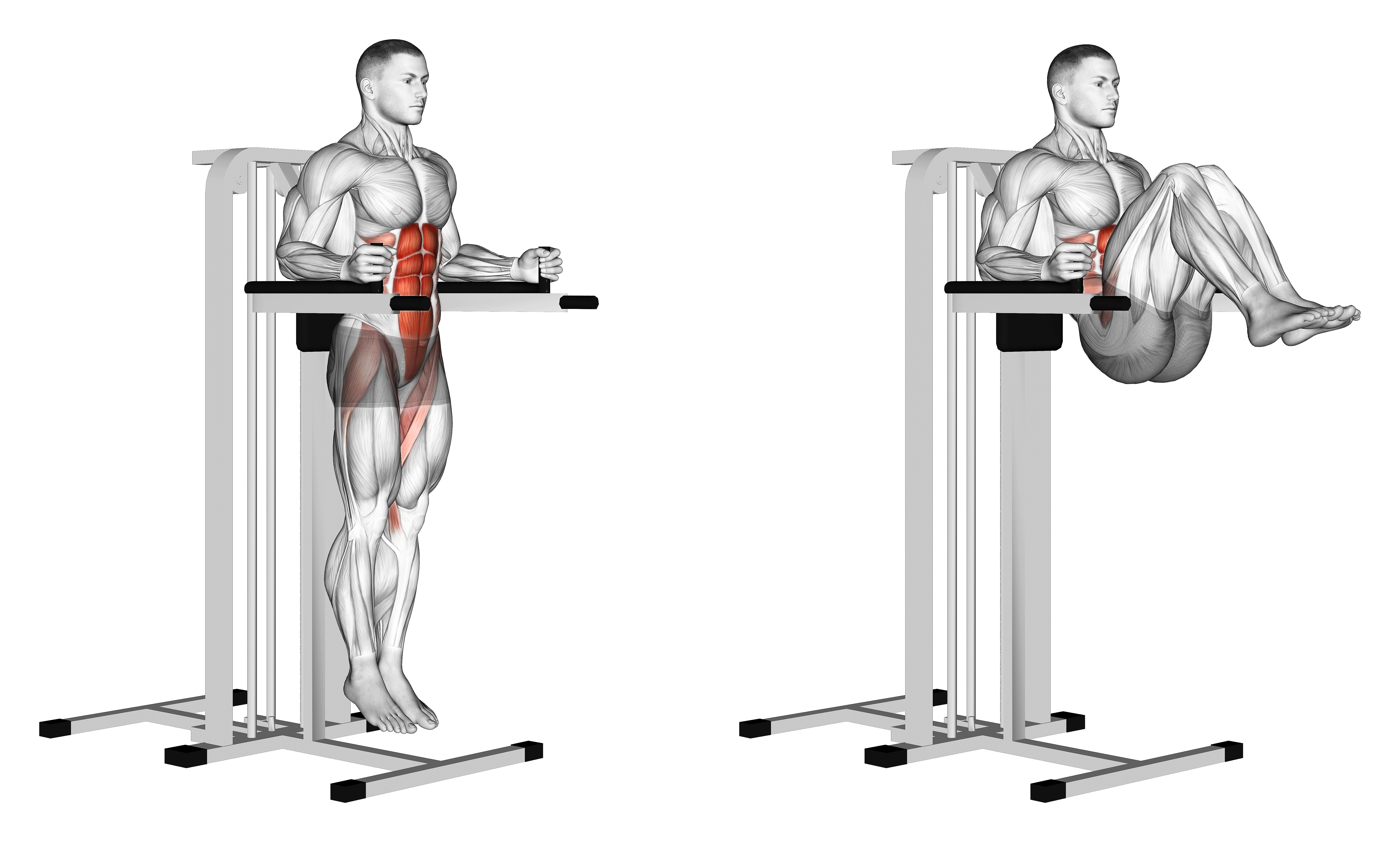 Vertical Leg Raise (on Parallel Bars)