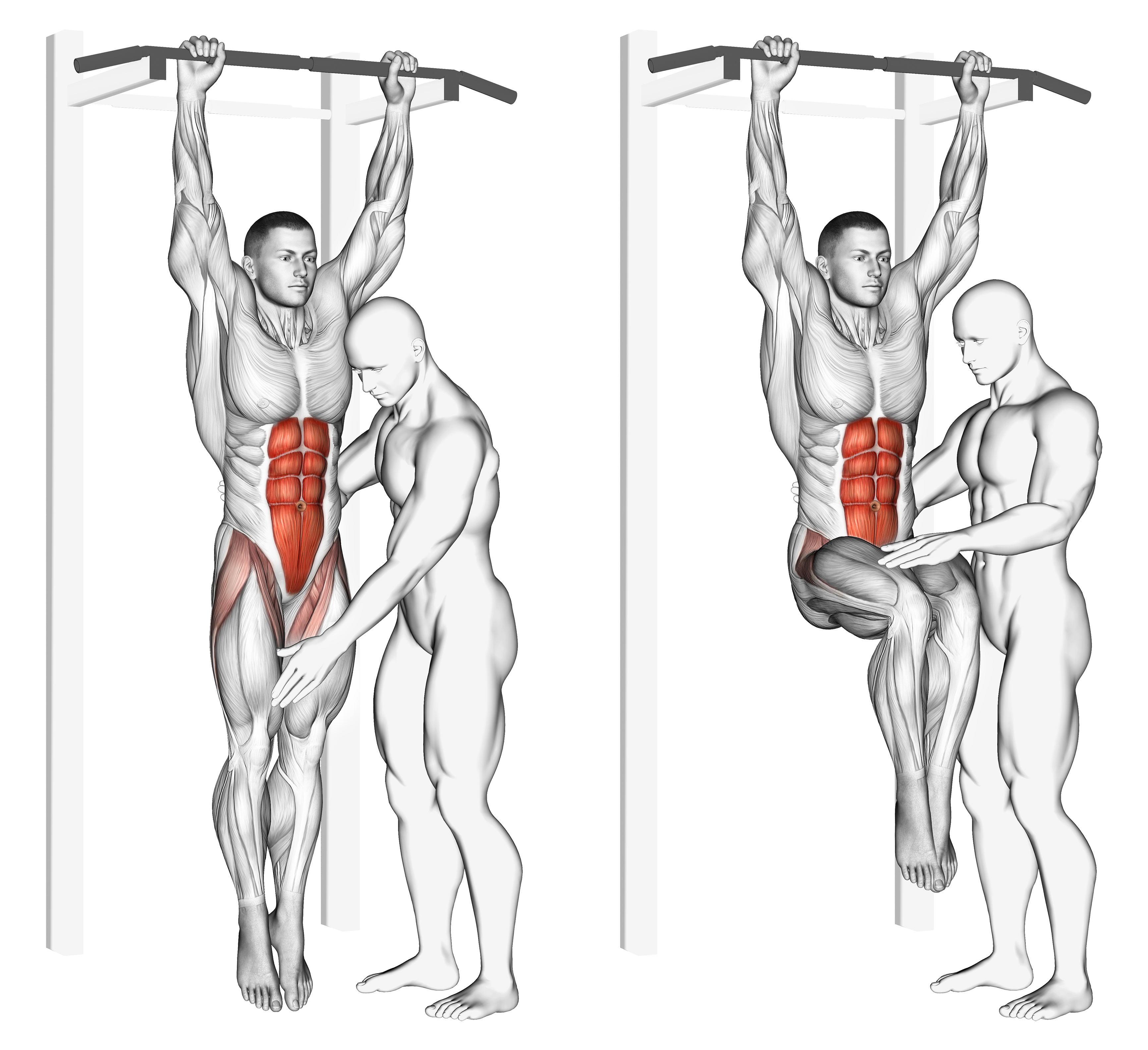 Assisted Hanging Knee Raise Waist Max