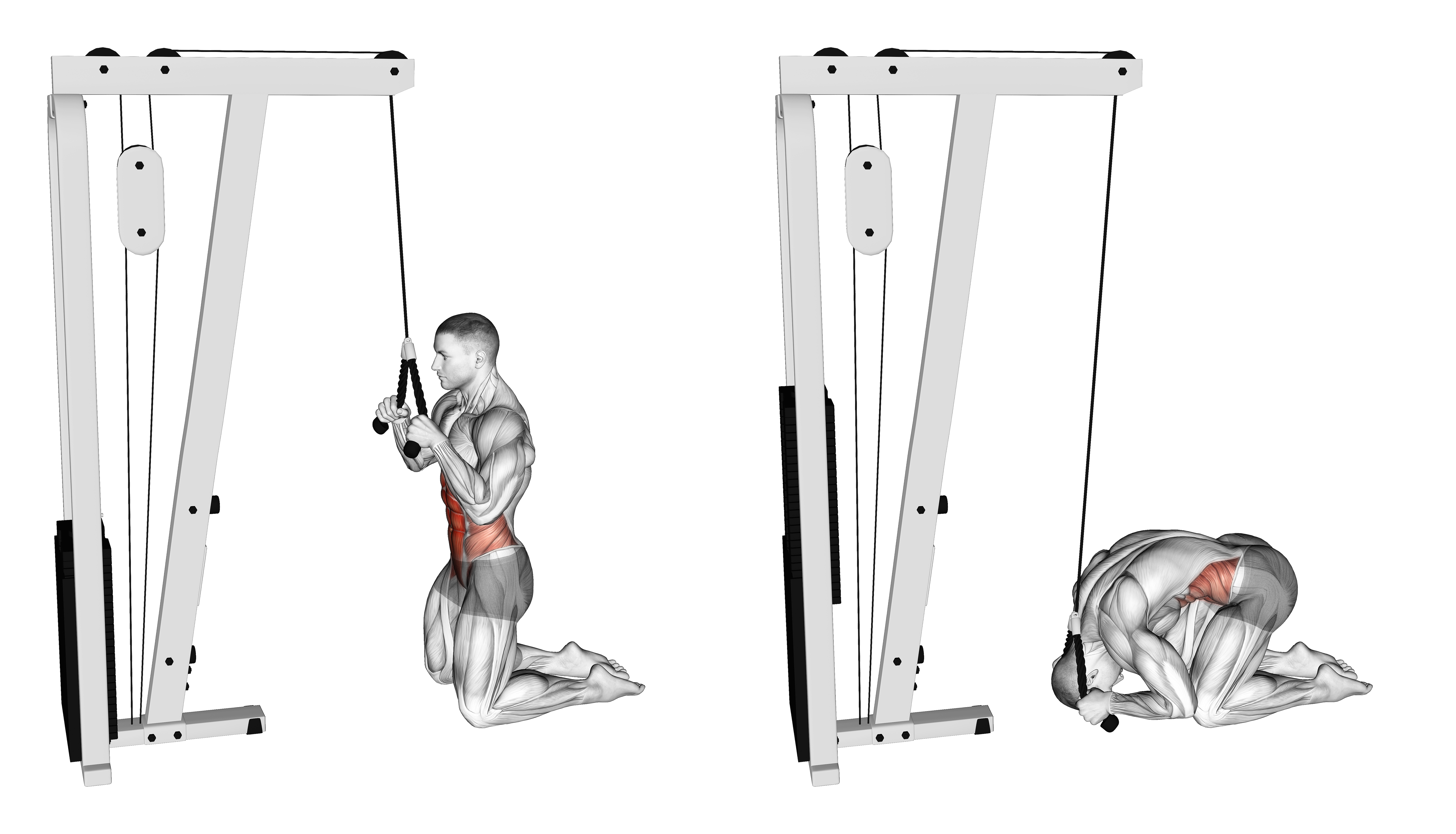 Cable Kneeling Crunch
