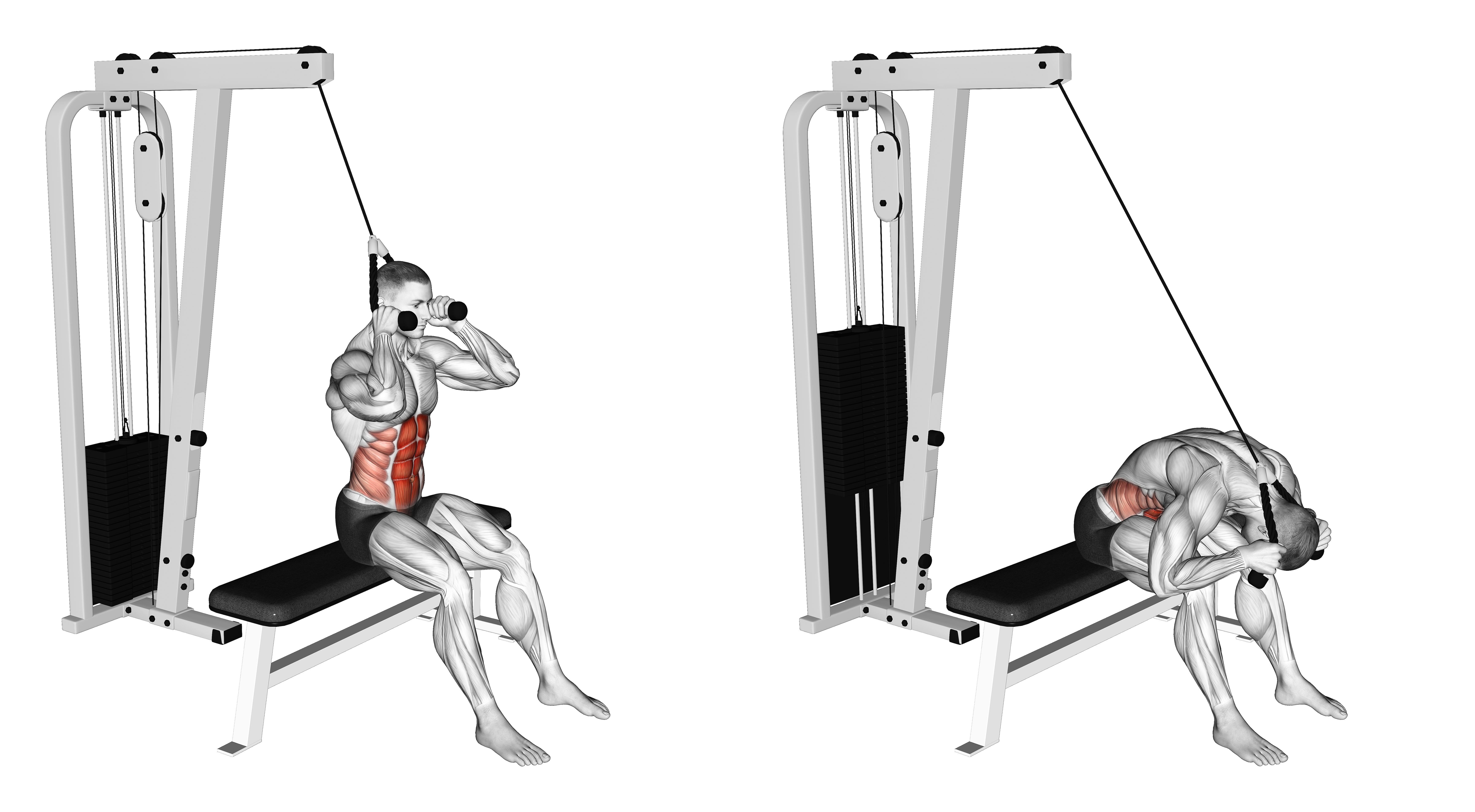 Cable Seated Crunch