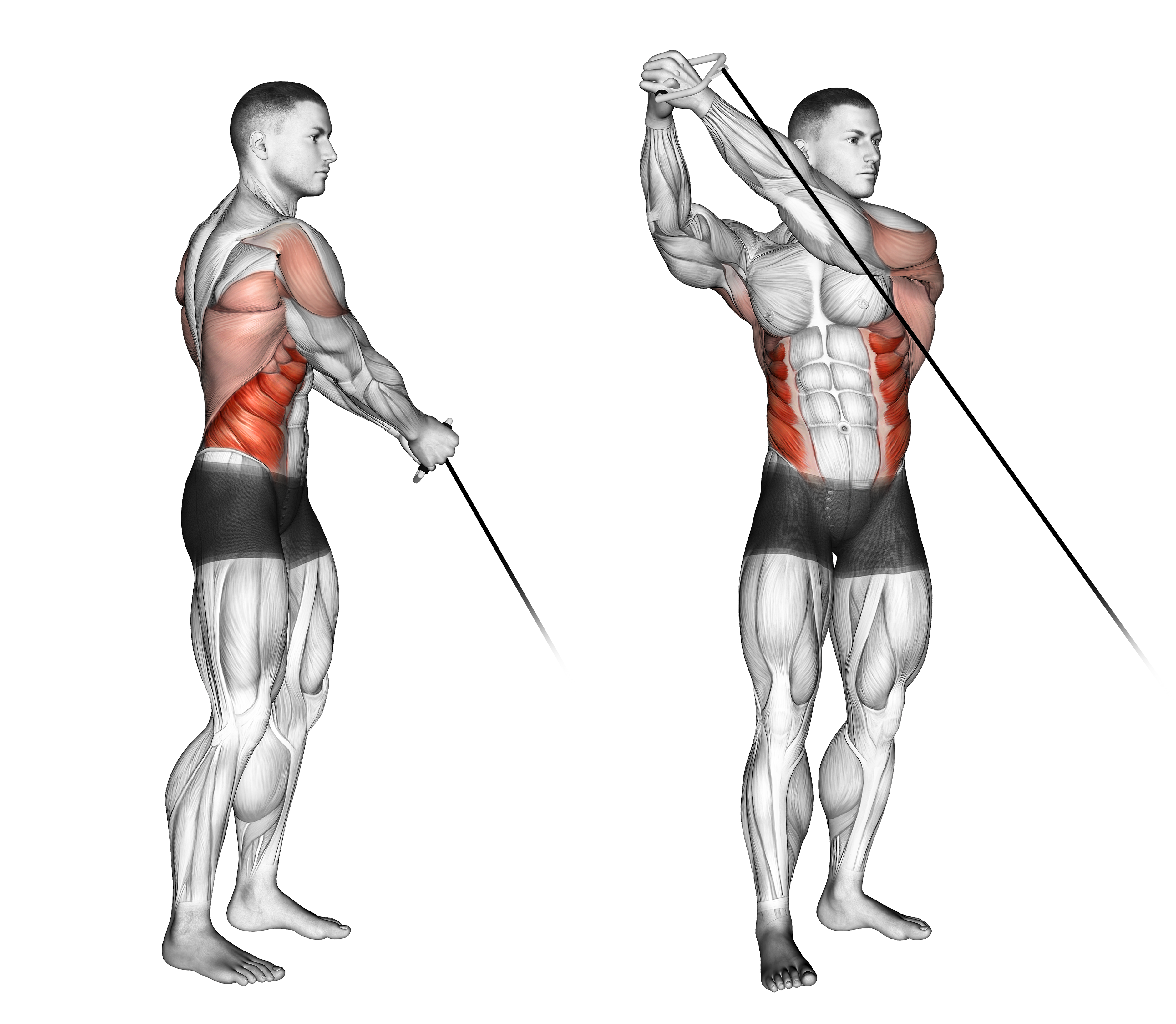 Cable Standing Lift Waist Max