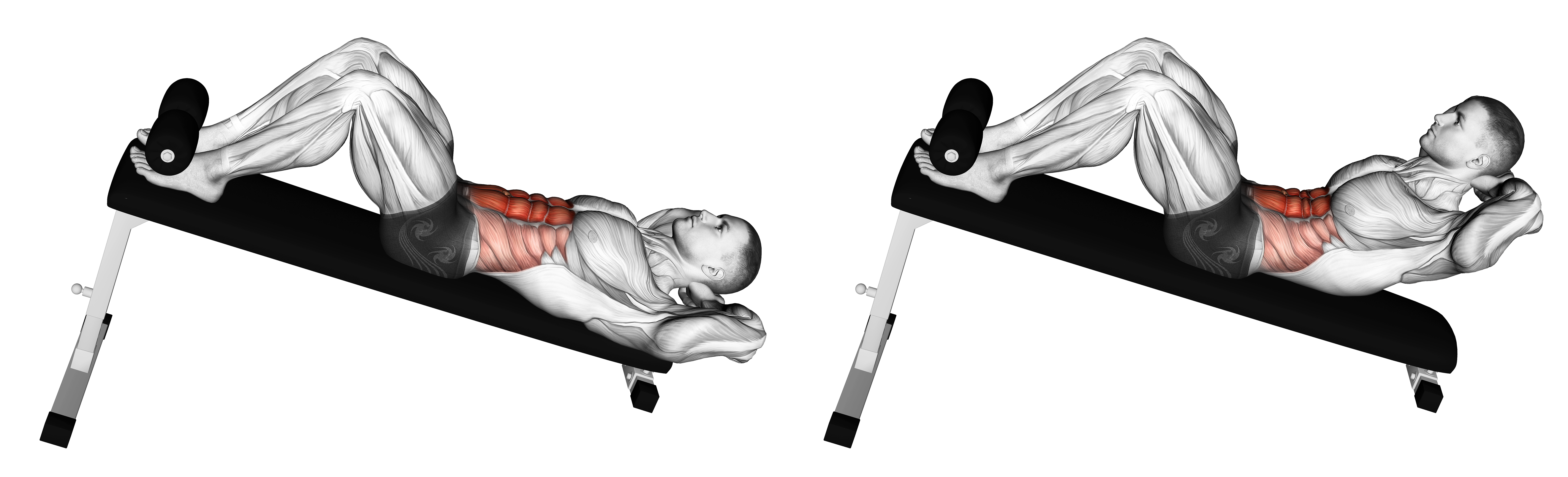 Decline Crunch Waist Max