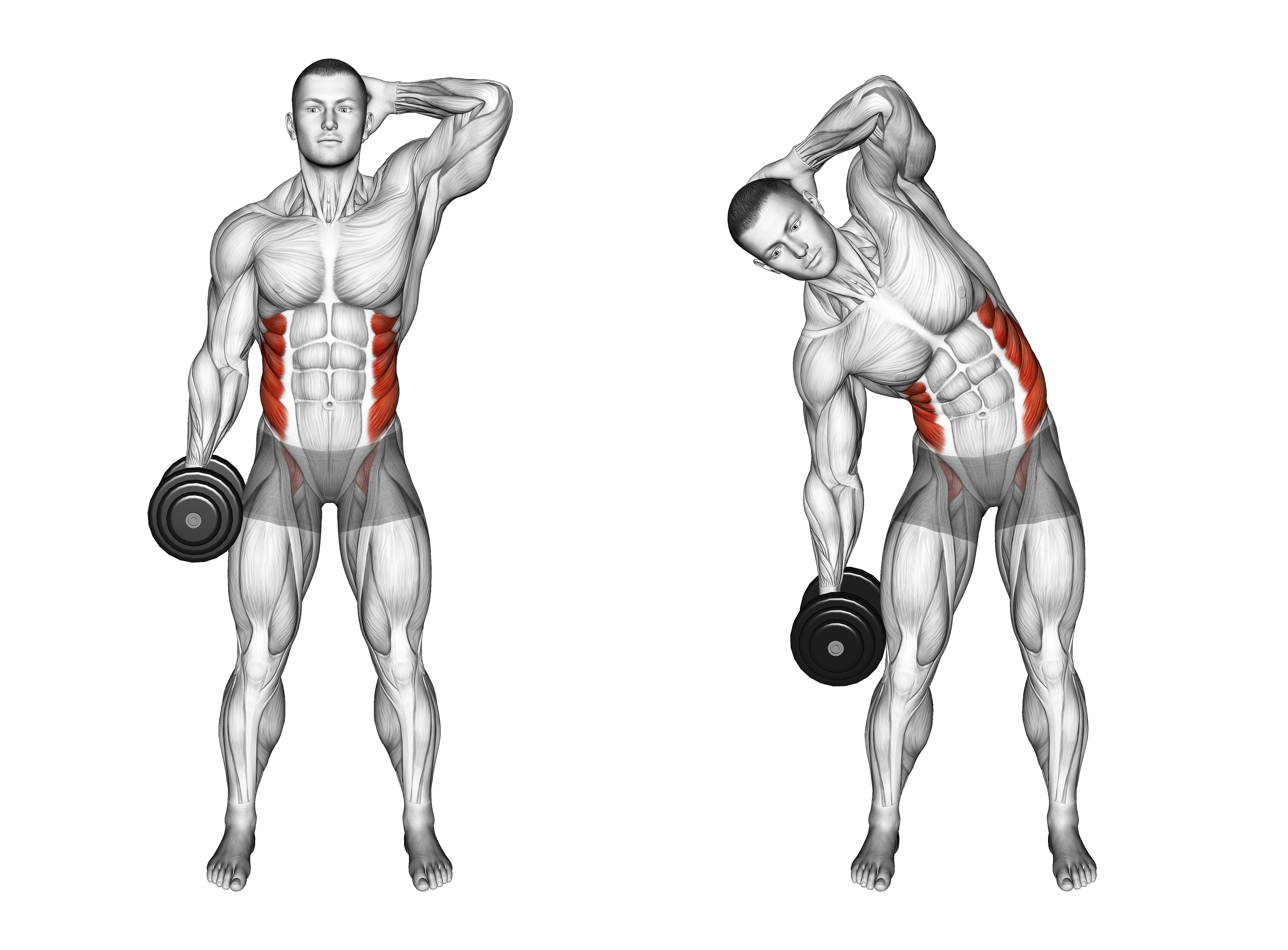 Dumbbell Side Bend