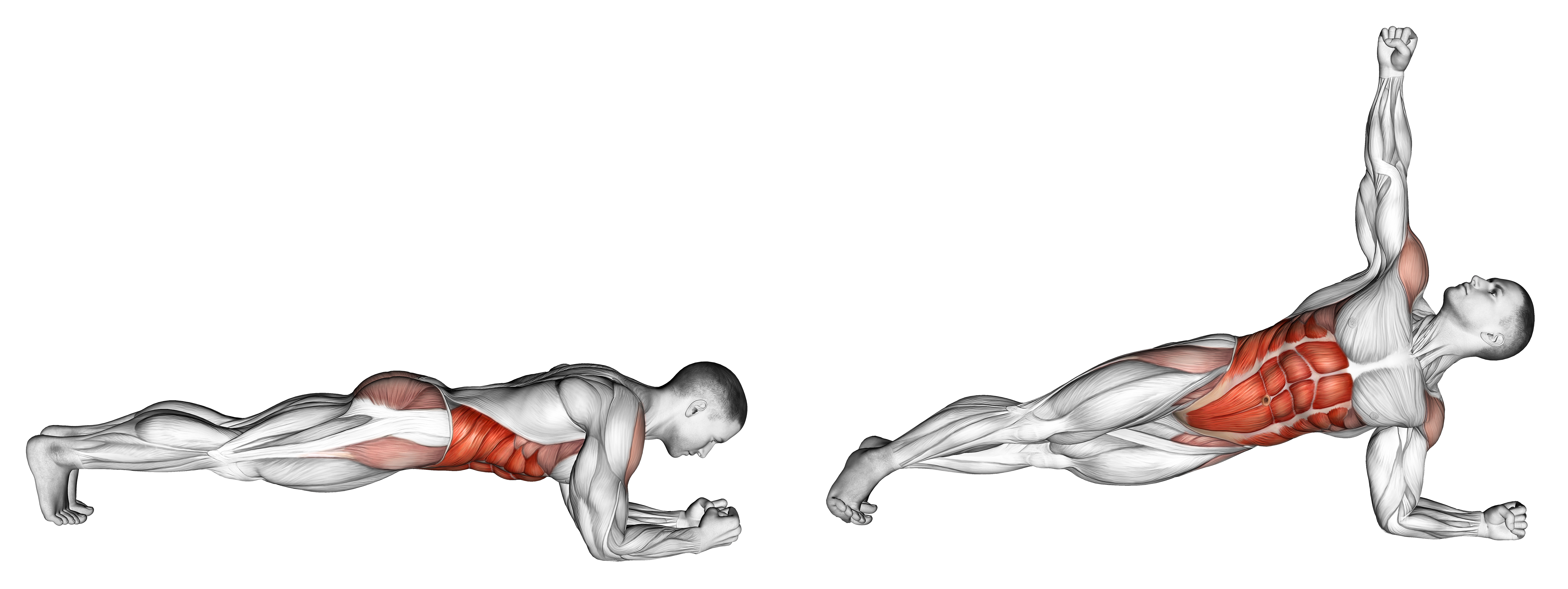 Front Plank With Twist Waist Max