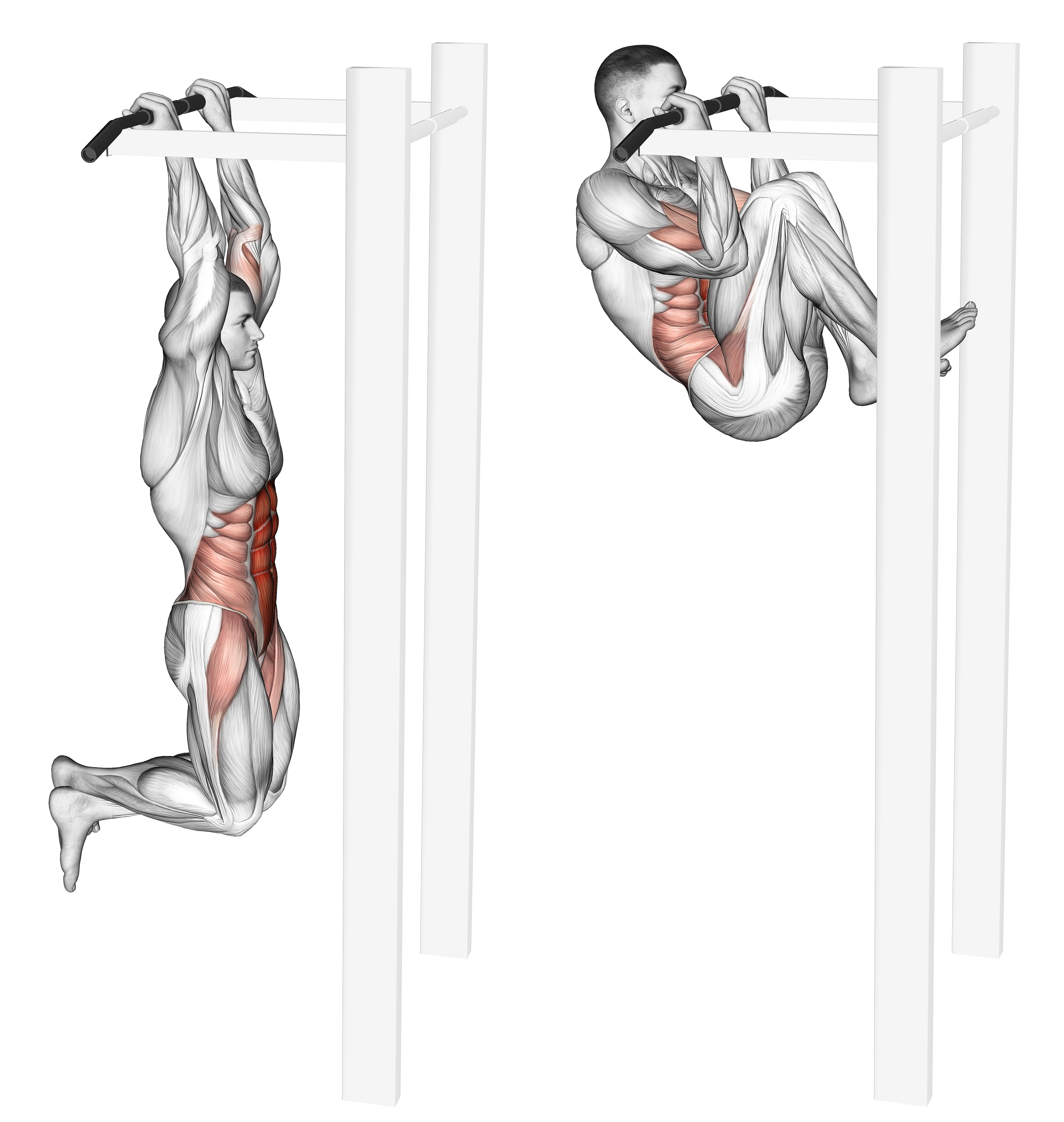 Gorilla Chin Waist Max