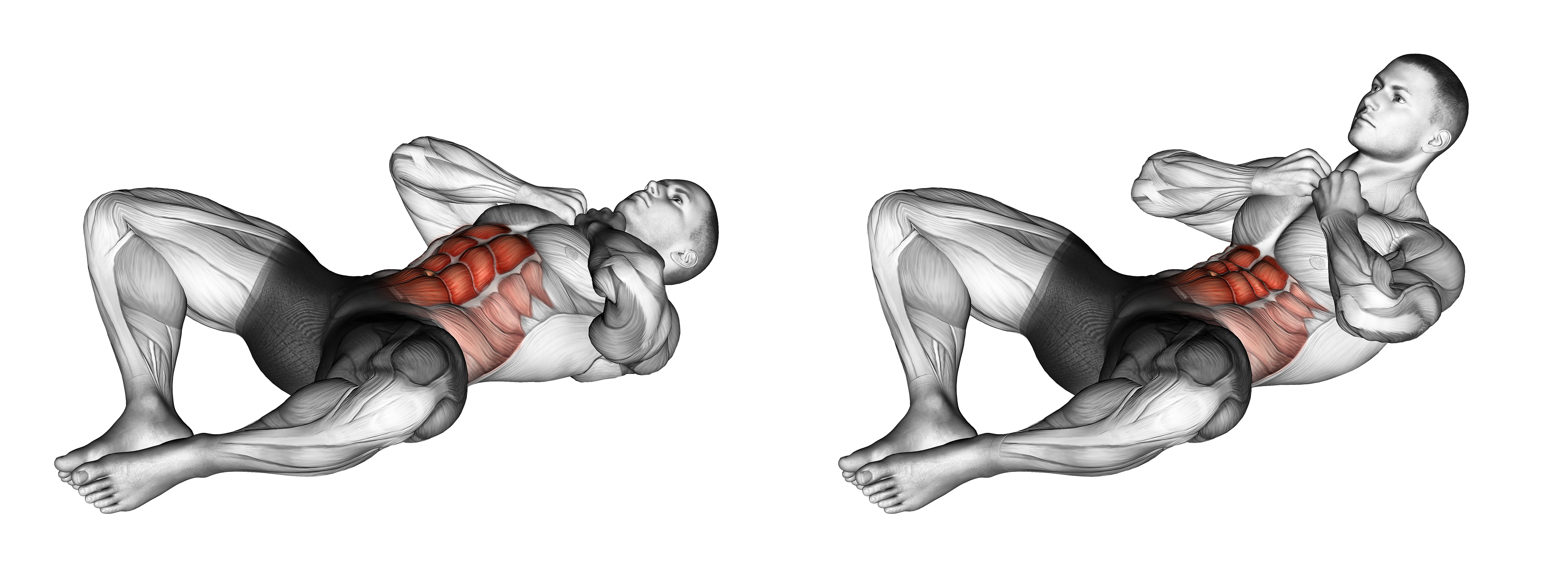 Groin Crunch Waist Max