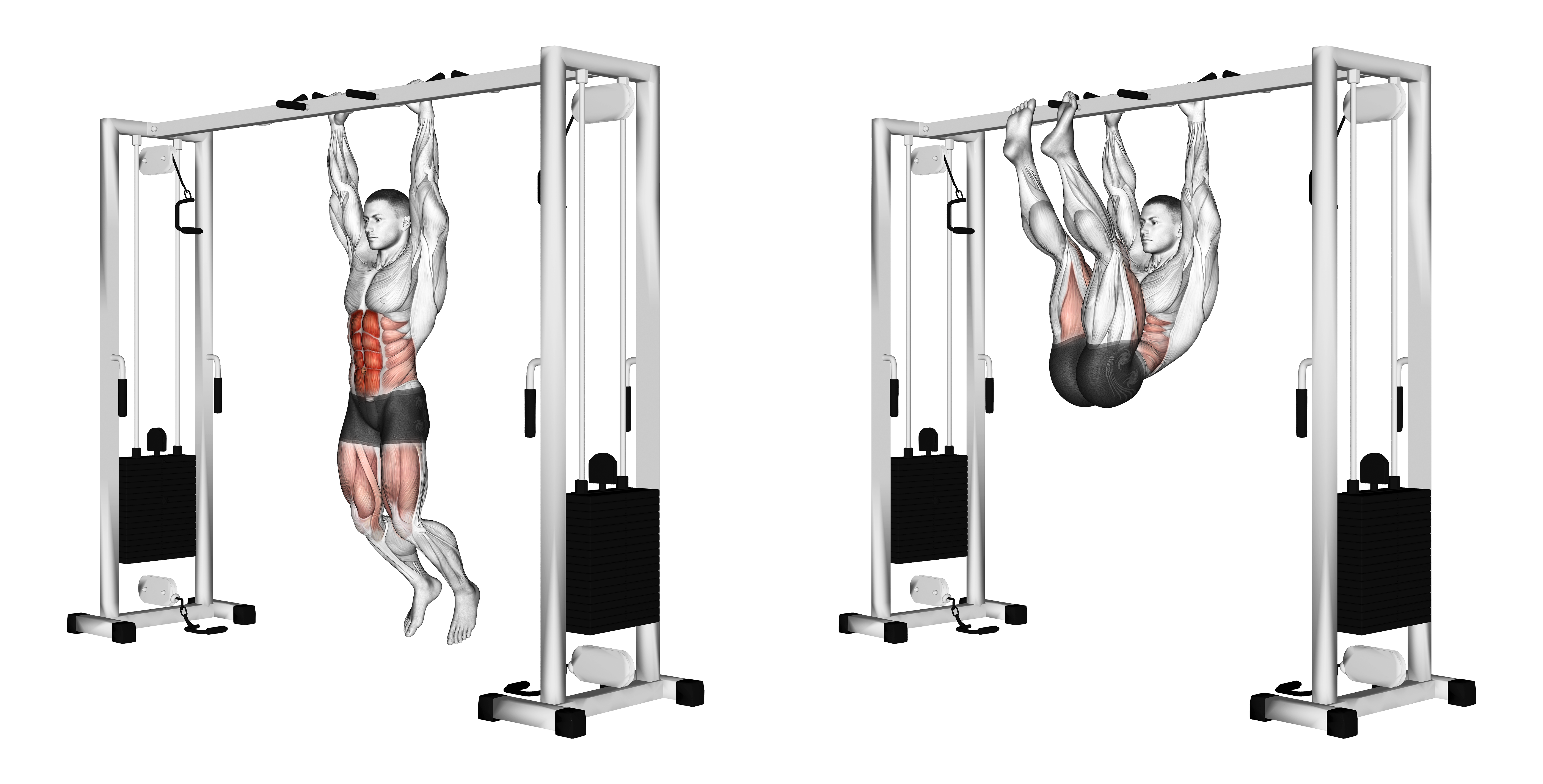 Hanging Straight Leg Hip Raise