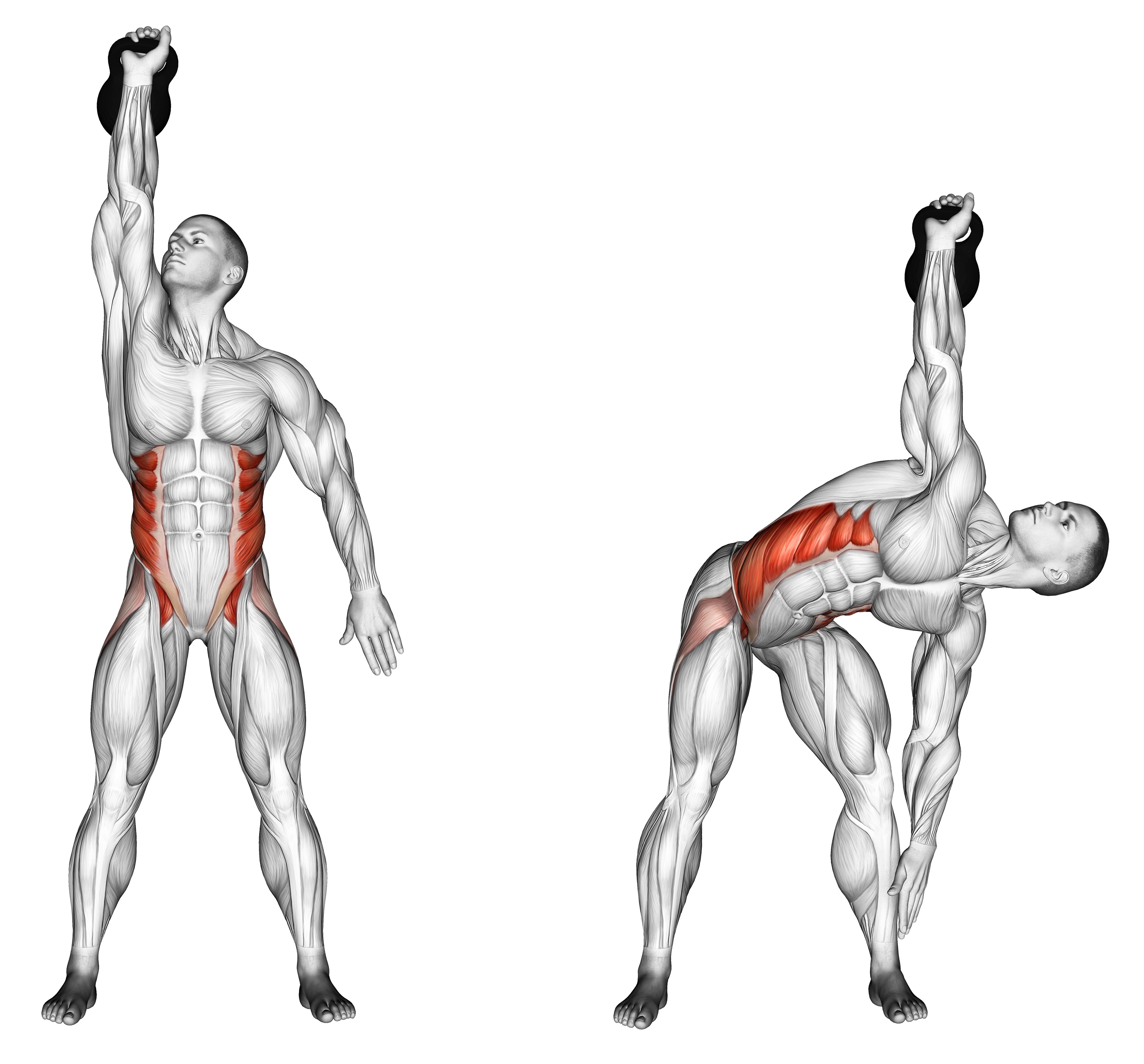 Kettlebell Windmill Waist Max