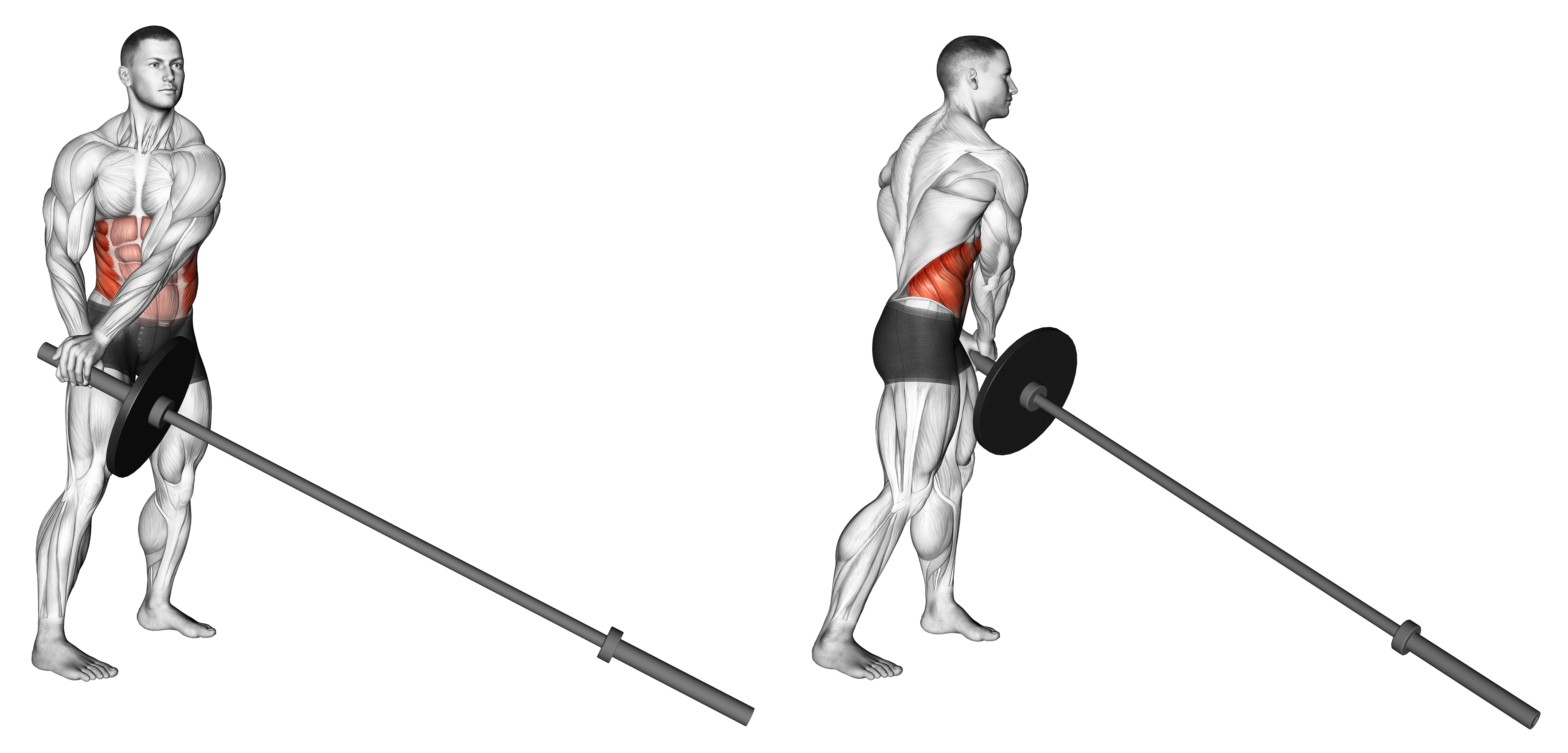 Landmine 180 Waist Max