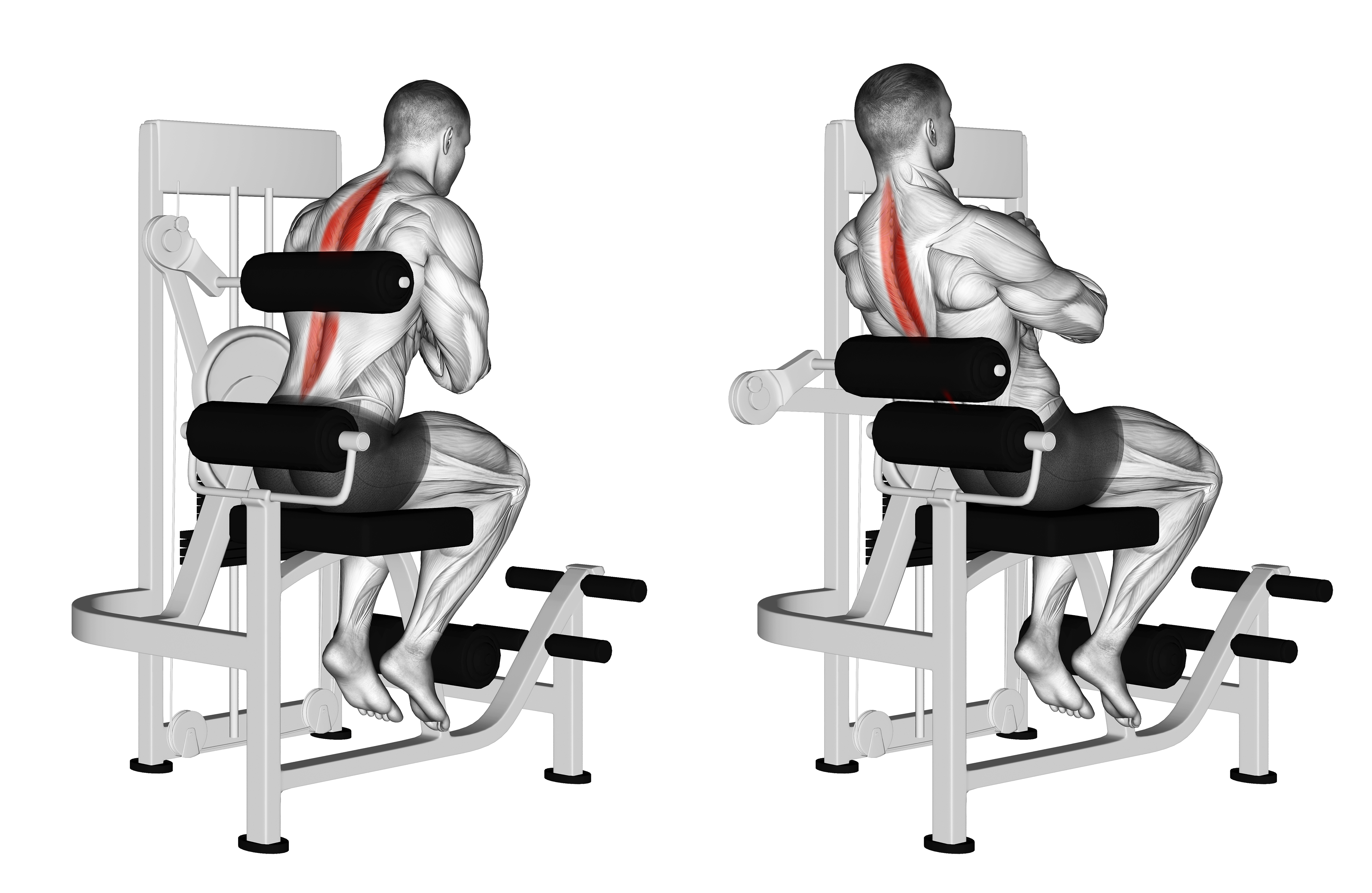 Lever Back Extension