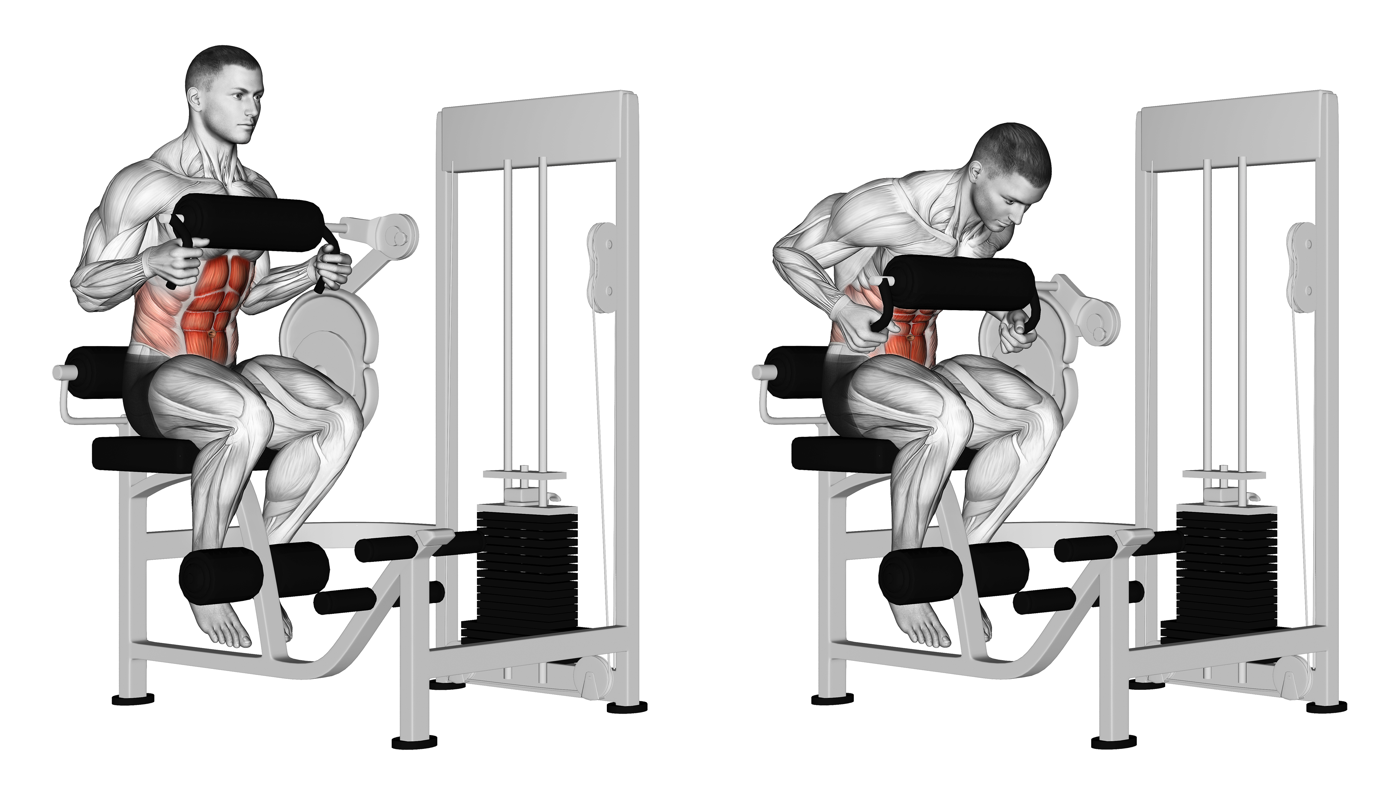 Lever Seated Crunch (chest Pad)