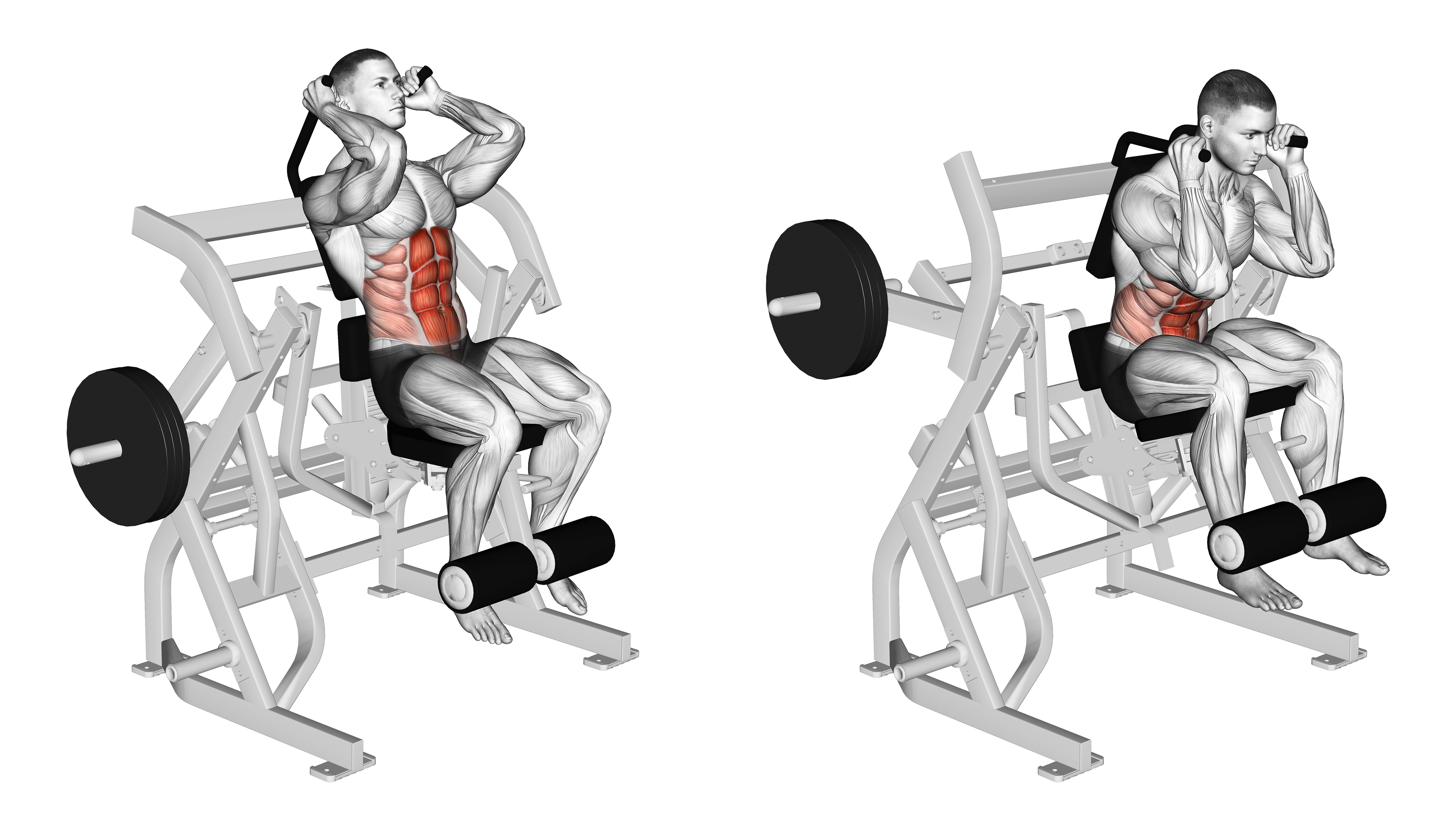 Lever Seated Leg Raise Crunch (plate Loaded)