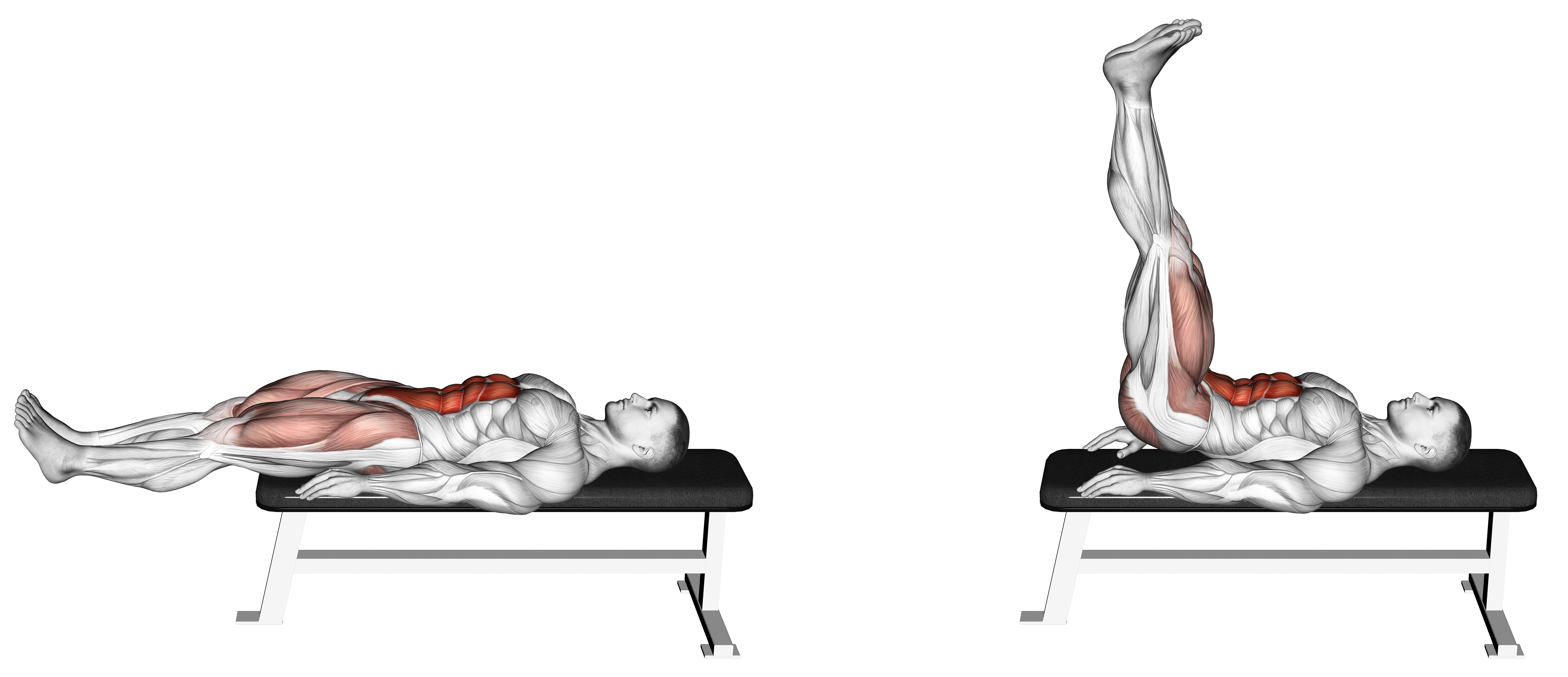 Lying Leg Raise Flat Bench Waist Max