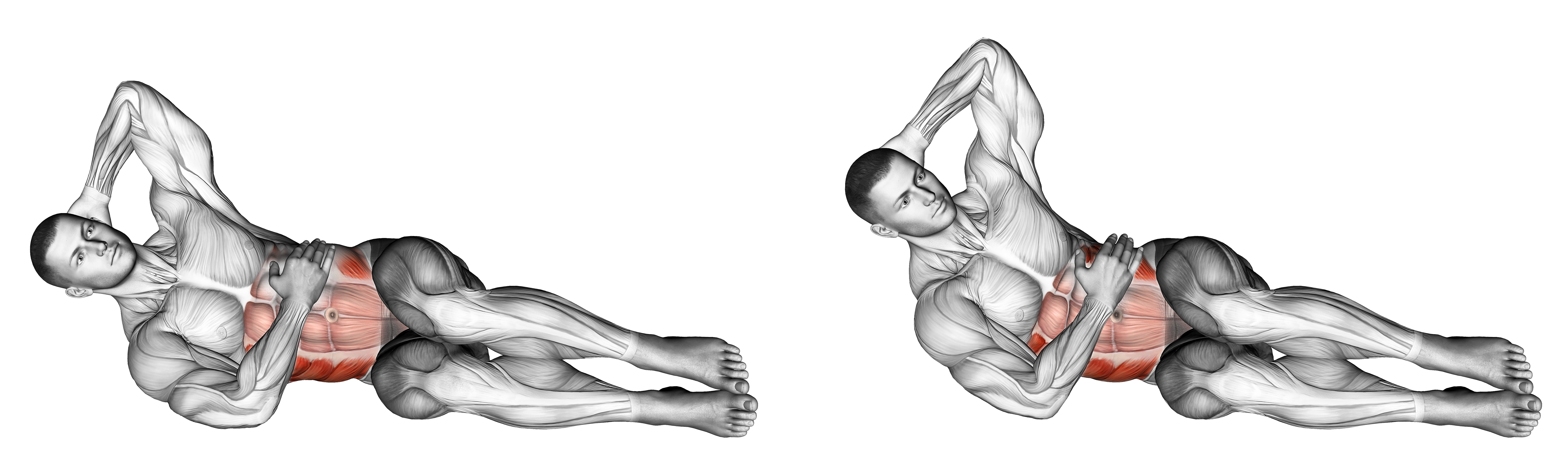 Oblique Crunches Floor Waist Max