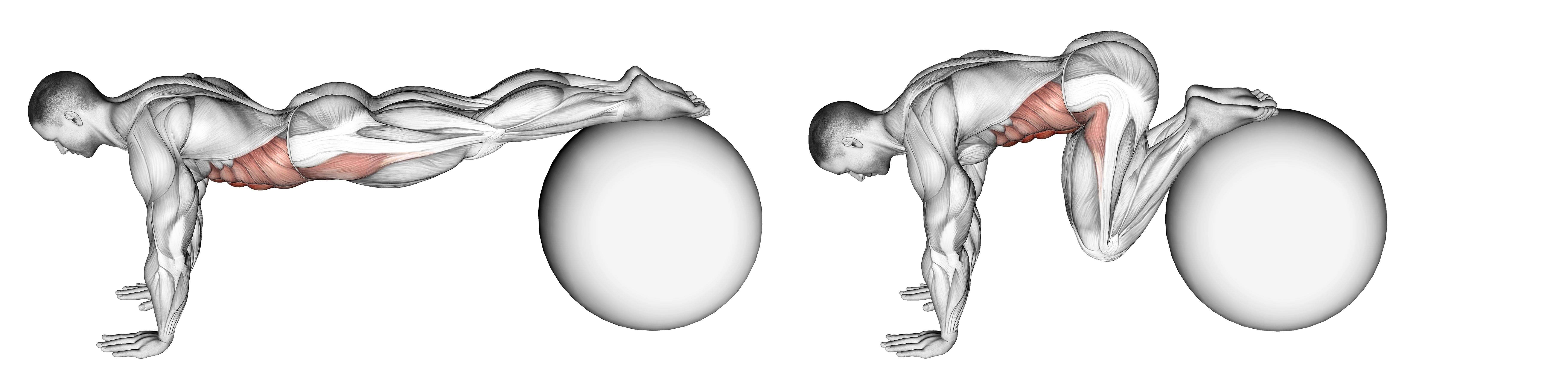Pull In (on Stability Ball) Waist Max