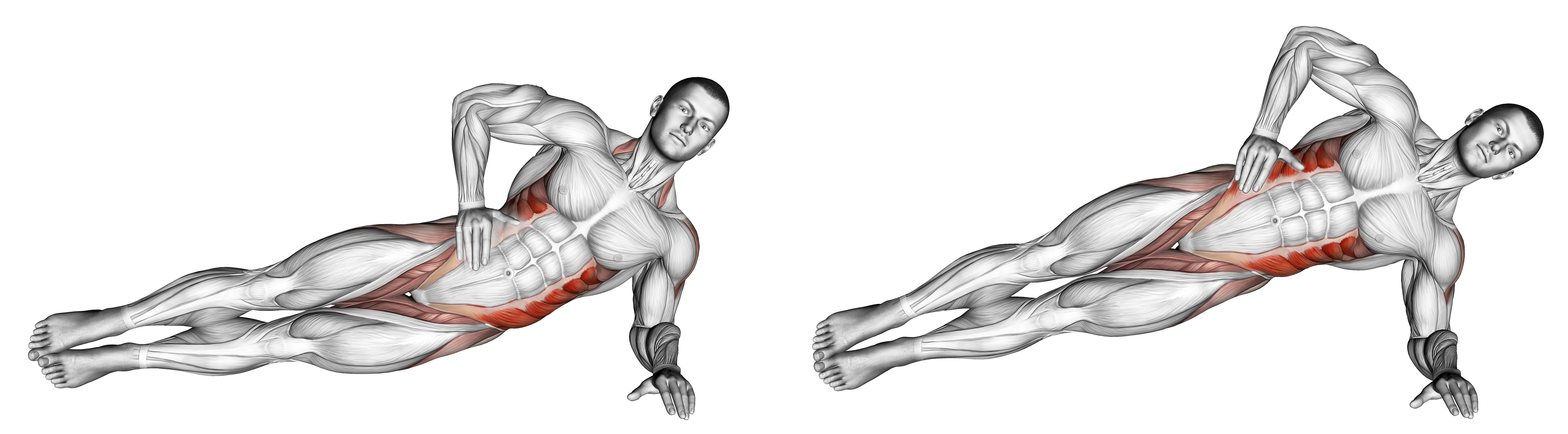 Side Bridge Ii Waist Max