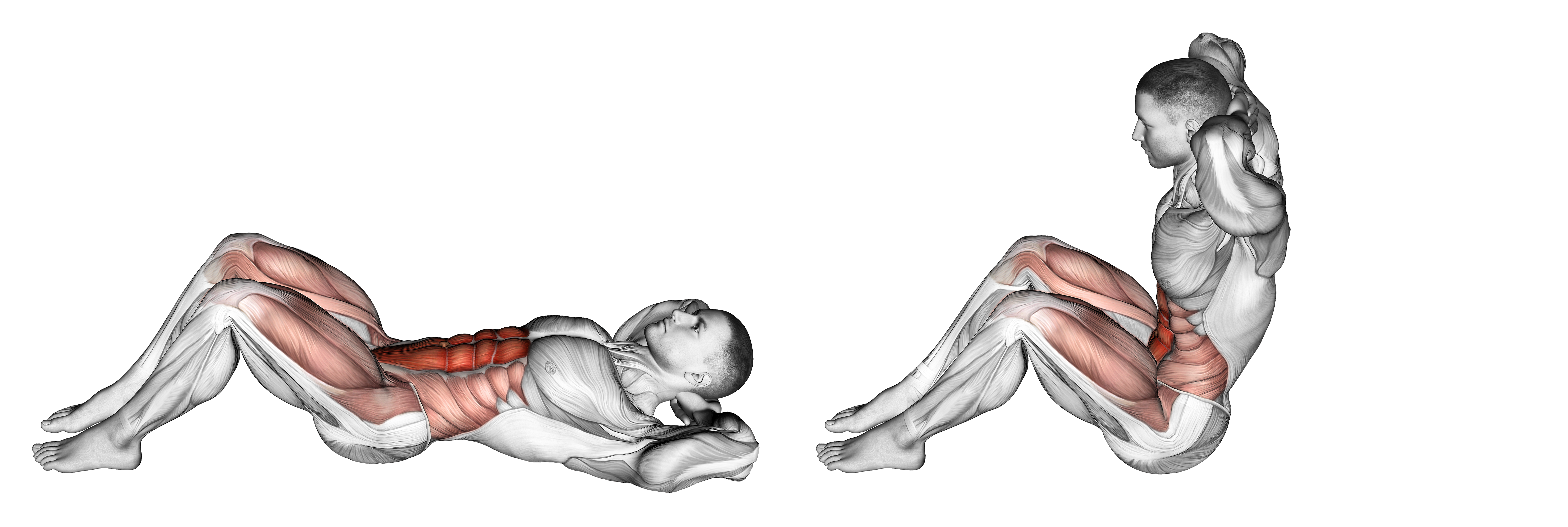 Sit Up Ii Waist Max