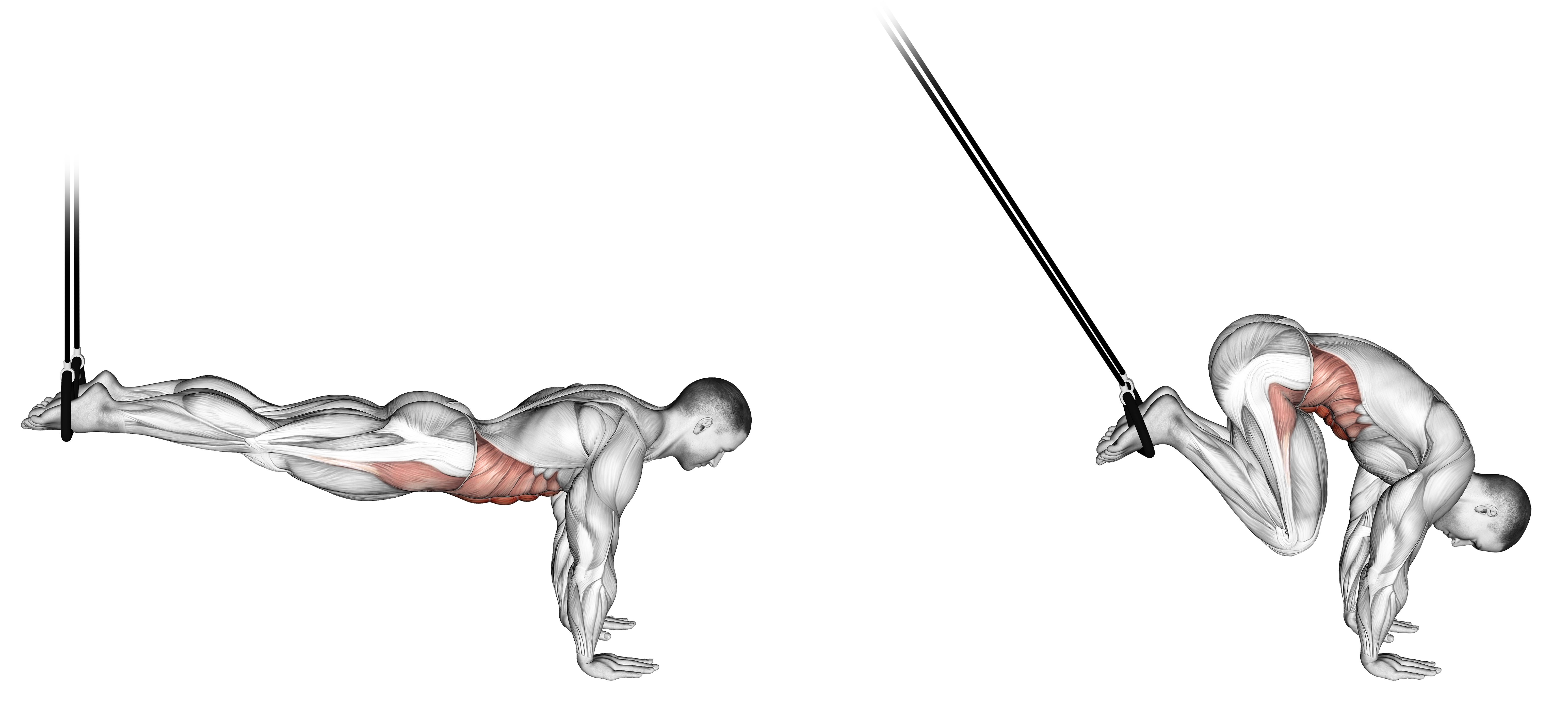 Suspended Reverse Crunch Waist Max