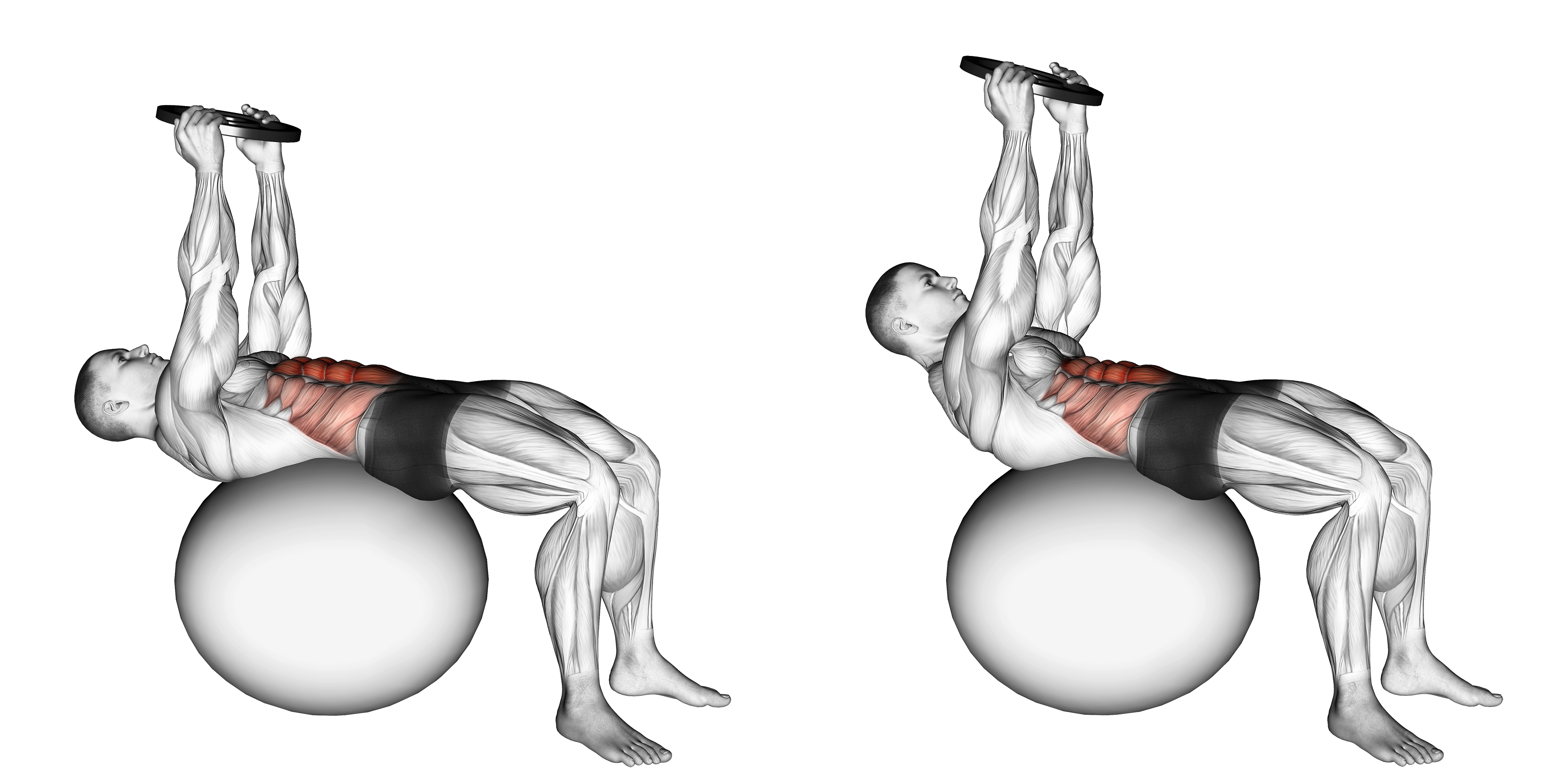 Weighted Overhead Crunch (on Stability Ball)