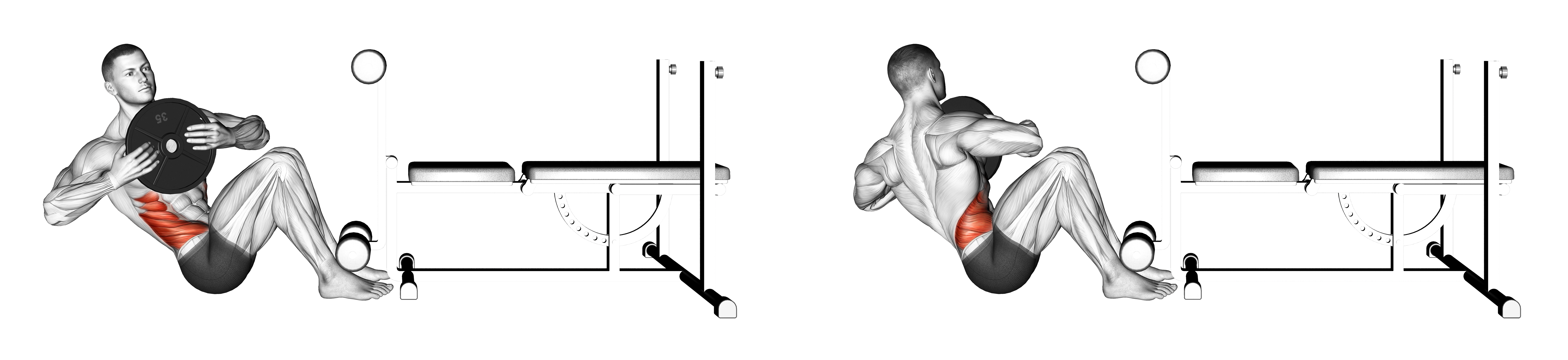 Weighted Russian Twist Waist Max